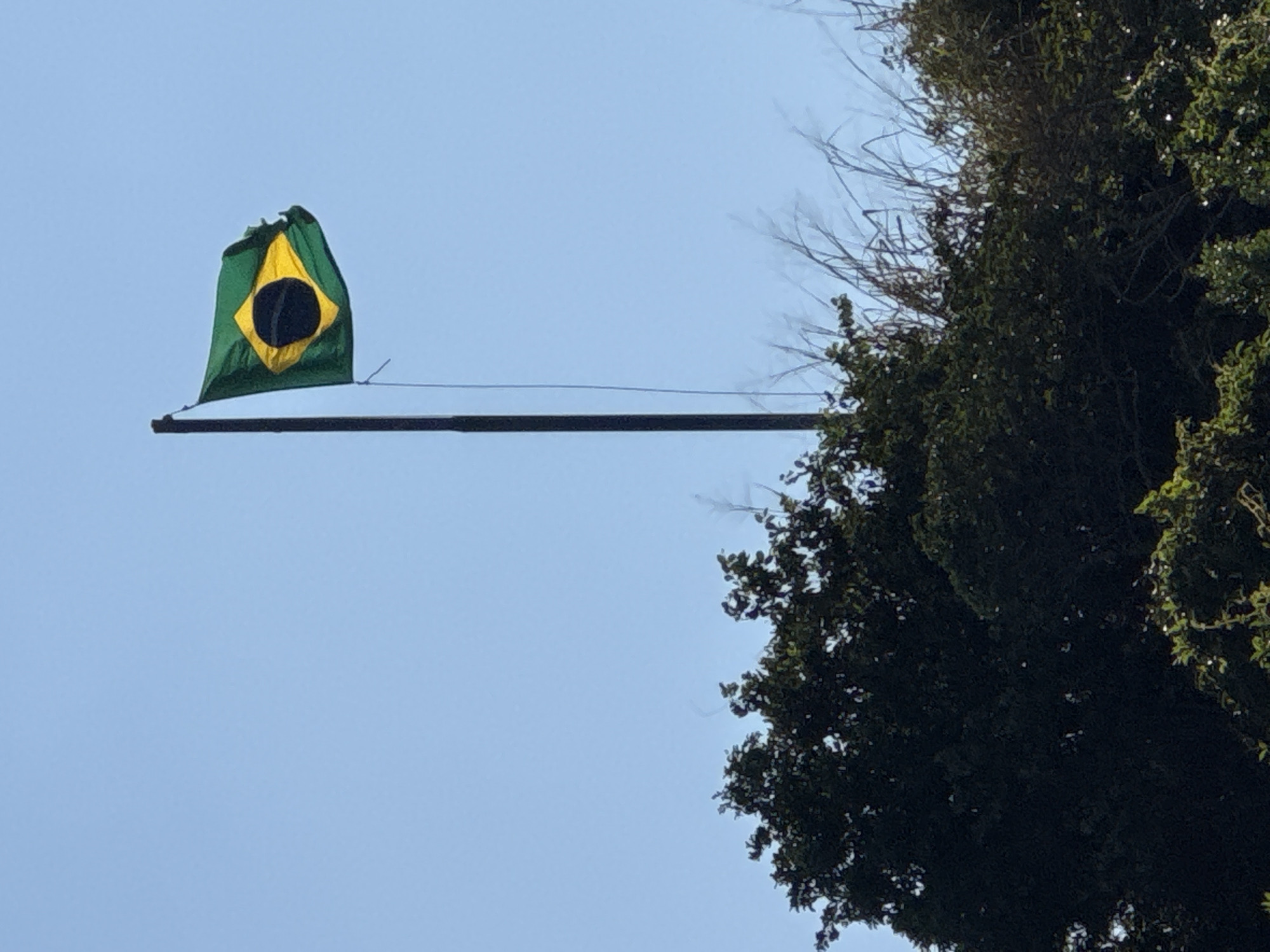 A Brazilian flag, predominantly green with a yellow rhombus and a blue circle with stars inside, is fluttering on a dark pole against a clear blue sky. The flag appears slightly torn or frayed at the edges. Below the flag and pole, the tops of lush green trees are visible, suggesting an outdoor setting. The image does not provide specific landmarks to pinpoint a location within Niterói, Brazil.