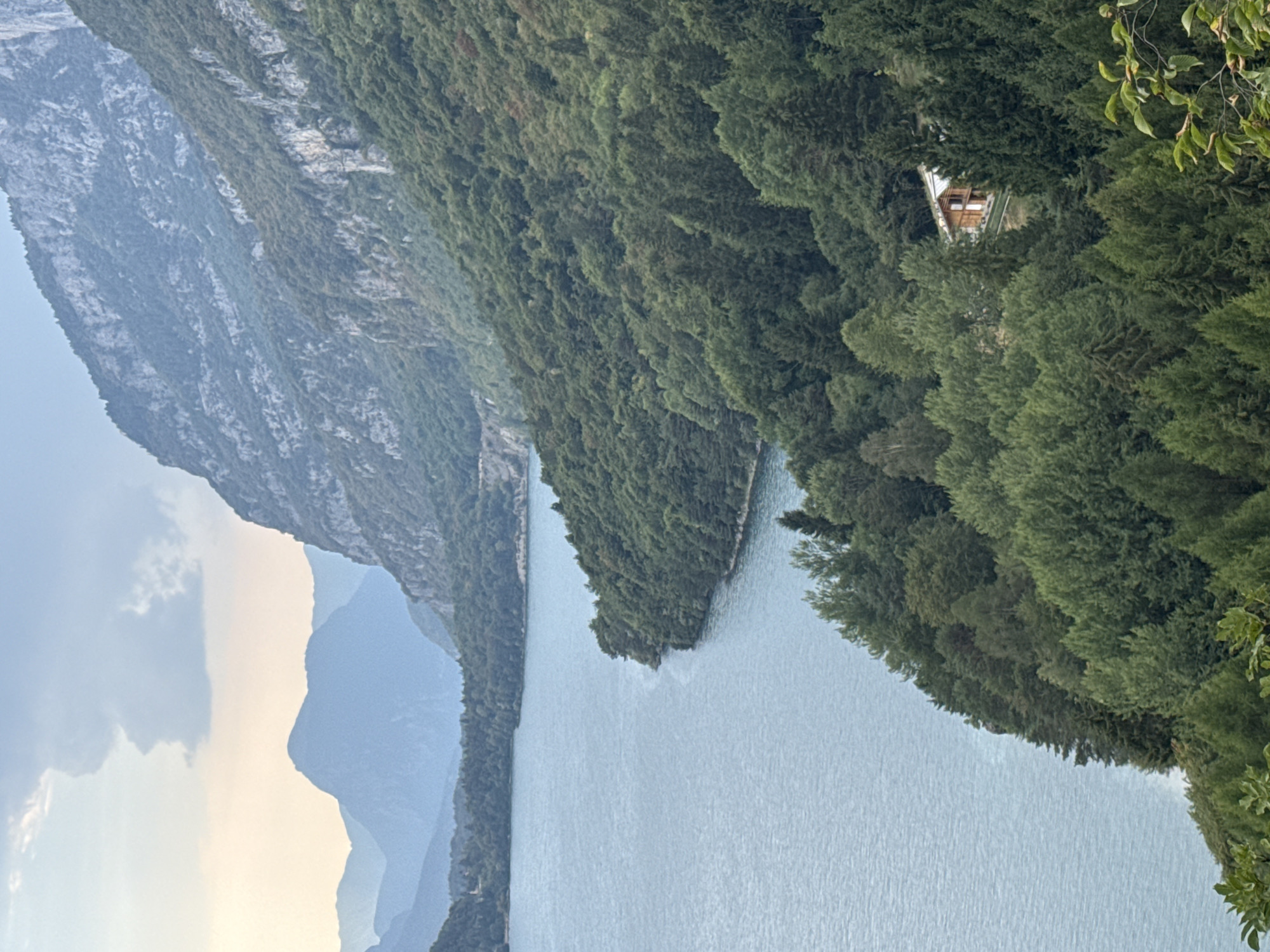 A long, blue body of water stretches across the left side of the frame, its surface rippled by a gentle breeze. Steep, verdant hills rise from the water's edge, densely covered in a mix of evergreen and deciduous trees. The trees form a thick, textured canopy, with varying shades of green indicating different species and light exposure. In the mid-ground, nestled amongst the trees on a slope, is a rustic wooden house with a light-colored roof. The house has multiple windows and a porch. Further back, the landscape transitions into rugged, rocky mountains that recede into the distance. The sky above is a soft, hazy blue with a few wispy clouds, suggesting either early morning or late afternoon light. The overall impression is one of natural beauty and tranquility. The location is identified as being in the city of Unknown, Italy.