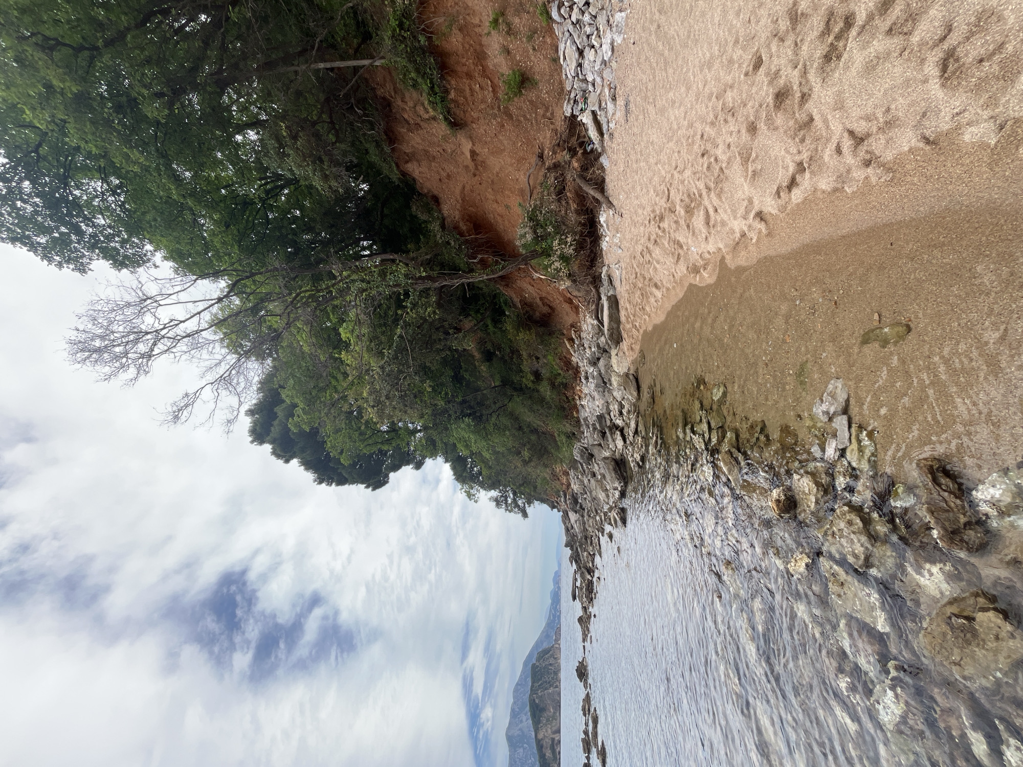 The image shows a beach with trees and a body of water. The image is rotated, so the sky appears to be on the left and the water on the bottom. A cliff with trees is on the top left, and a sandy beach is on the top right. Rocks line the edge of the water. The location is Unknown, Unknown. There are no people visible in the image.