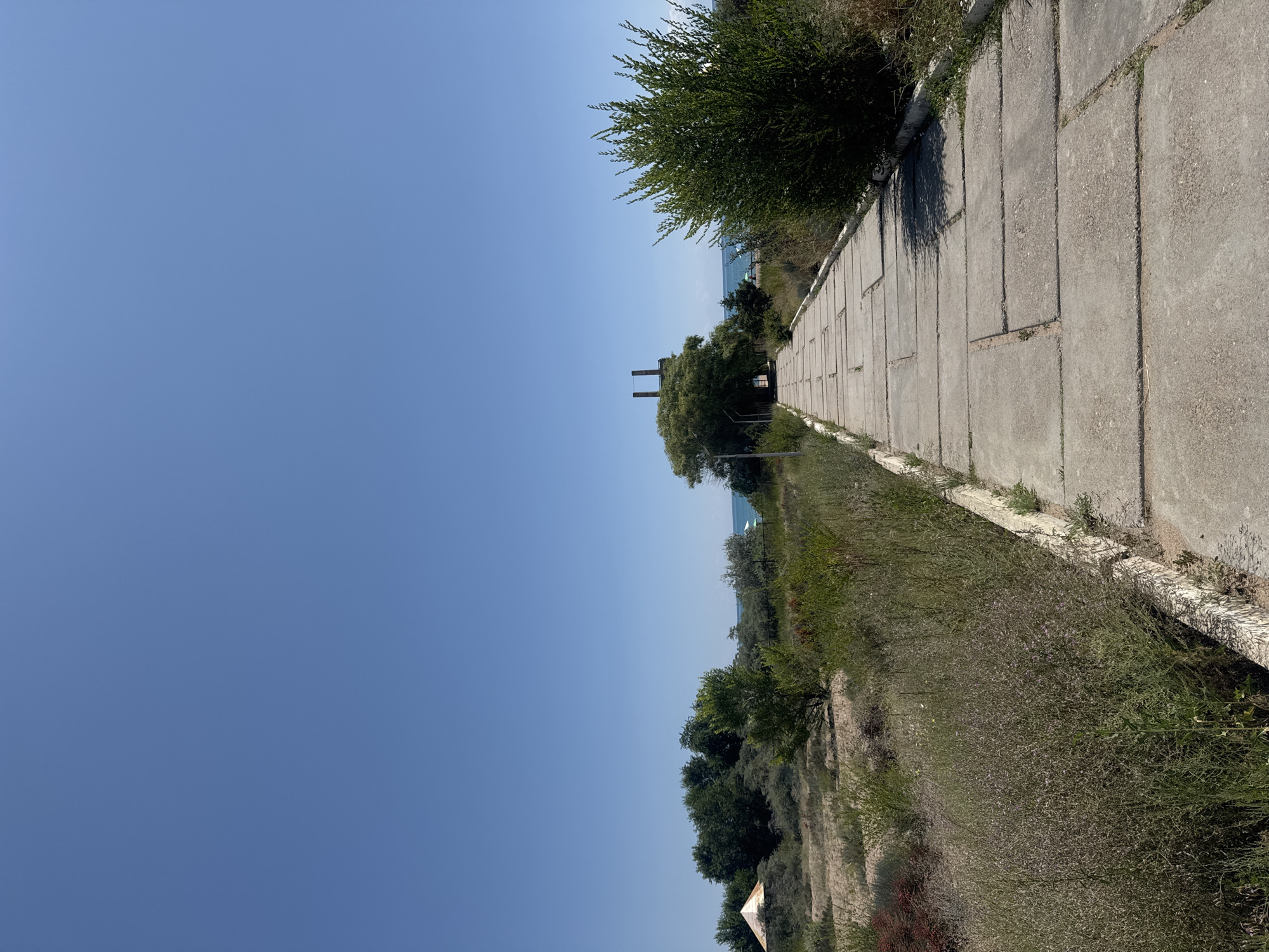 The image depicts a concrete pathway leading towards a body of water, likely the Issyk-Kul lake, under a clear blue sky. The path is flanked by dry vegetation and sparse green bushes. In the distance, a cluster of trees frames a view of the water, and a partially constructed or abandoned structure with two upright pillars is visible on the left side of the path, near the trees. The scene appears to be in an open, somewhat undeveloped area. The location is identified as Koshkol', Kyrgyzstan.