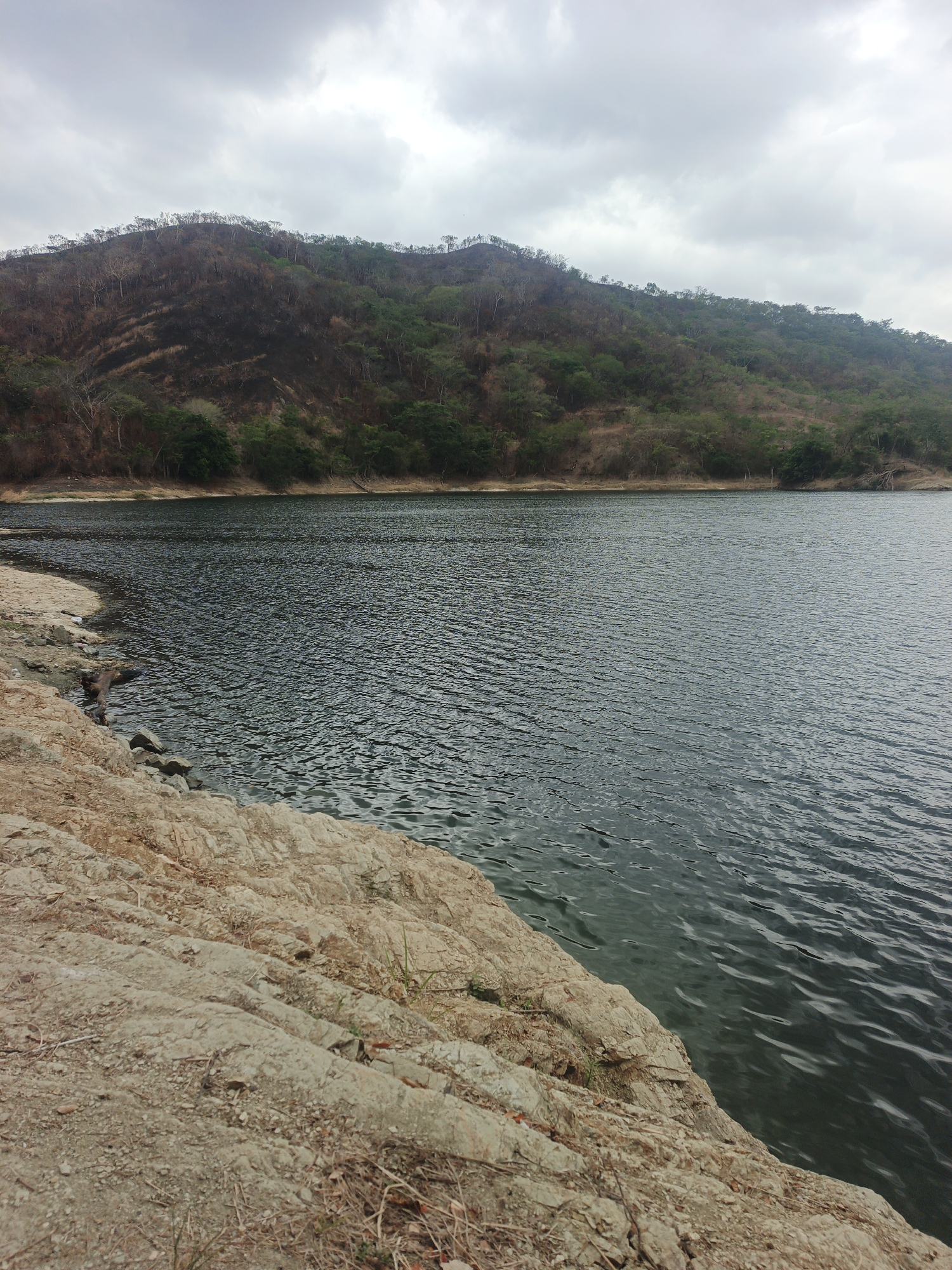 The image depicts a lake or reservoir situated in a natural environment under an overcast sky. The foreground is dominated by a rocky shoreline with light brown, layered rock formations. The water is dark and rippled, extending into the middle ground. Beyond the water is a treeline, followed by a hill or mountain covered in vegetation, some of which appears to be sparse or burnt.
While the image is said to be taken in Tinaquillo, Venezuela, based on the visuals, it is difficult to confirm the location with certainty. There are no discernible people, specific objects, actions, or interactions visible in the photograph.