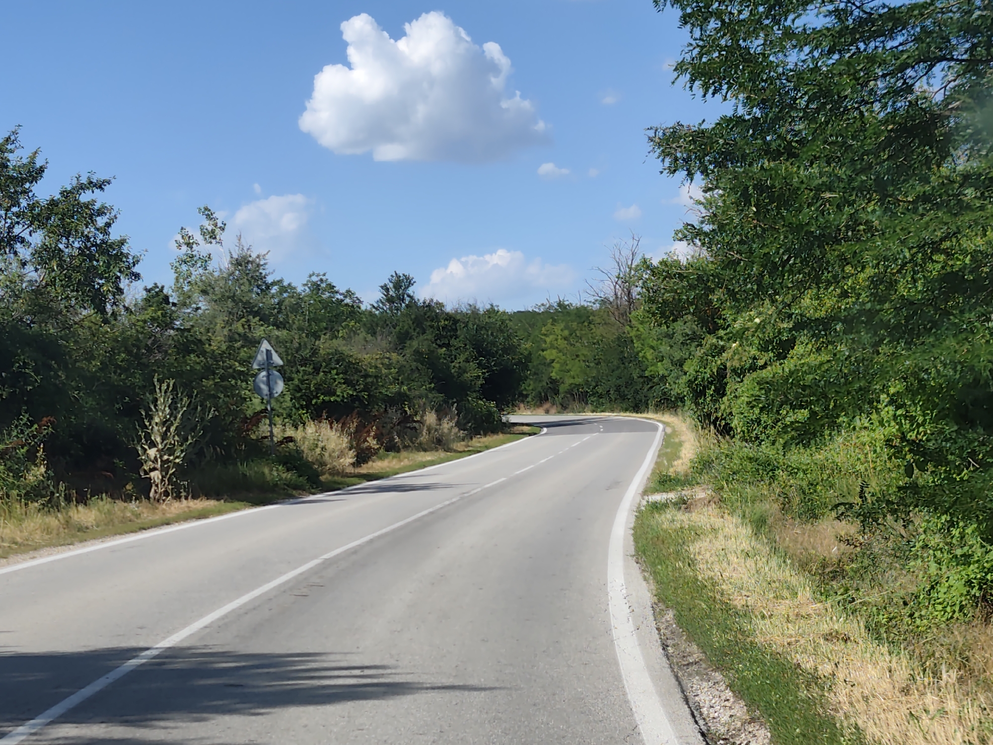 A winding asphalt road curves through a lush green landscape under a bright blue sky with scattered white clouds. The road, marked with white lines, is bordered by dense vegetation on both sides, consisting of trees and bushes. On the left side of the road, a traffic sign is partially visible, set against a backdrop of trees and dry grass. The sun is high in the sky, casting shadows on the road, suggesting it is daytime, likely midday or early afternoon. The scene appears to be in a rural or natural setting, possibly a road in Stejerovo, Bulgaria, given the provided location context. There is no activity of people or animals visible, and the image conveys a sense of tranquility and natural beauty. No text is discernible in the image.