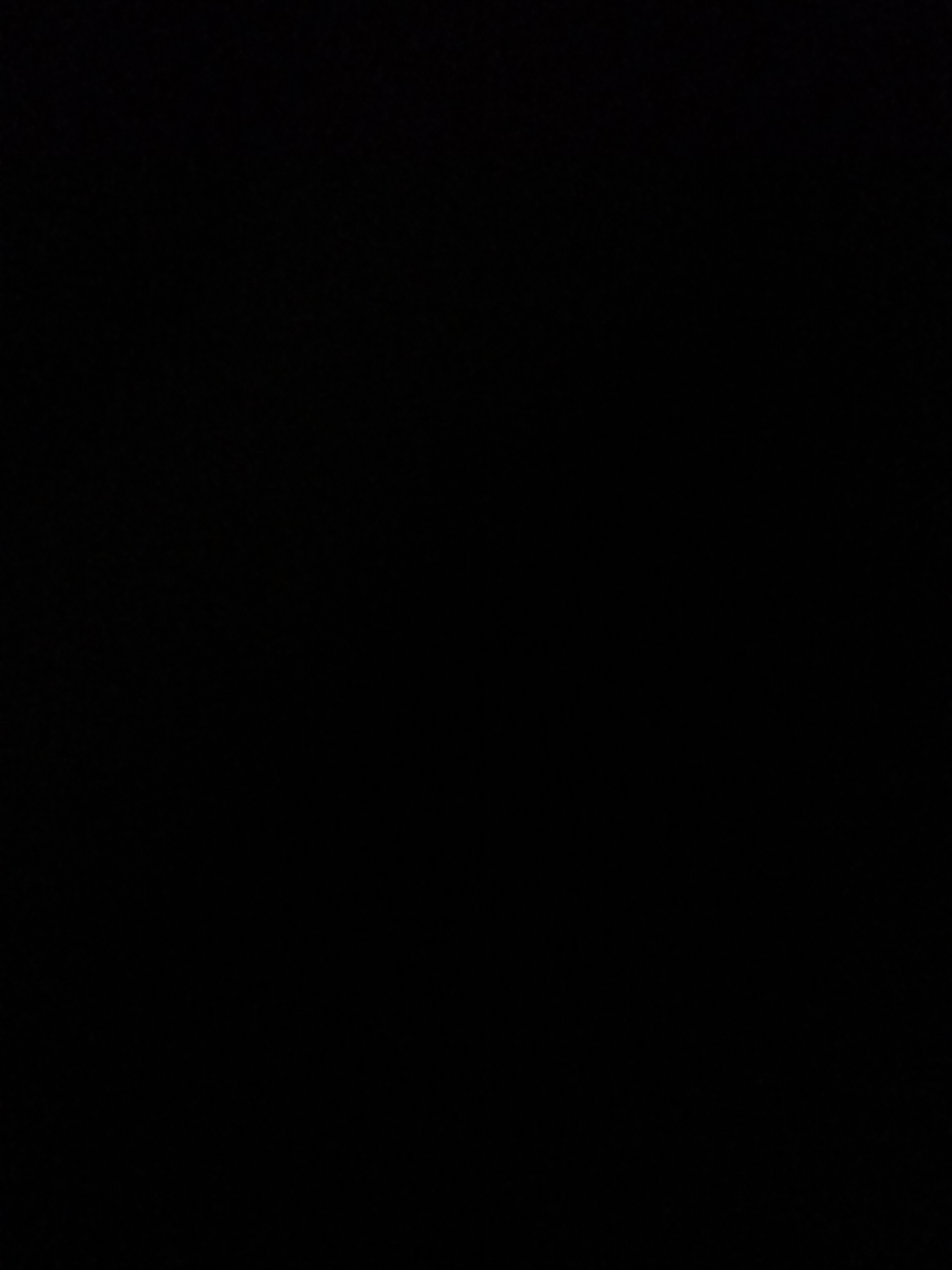 The media file is a completely black image. There are no discernible subjects, objects, scenes, activities, or events taking place. There are no notable details such as time of day, weather, location cues, or emotions. There is no visible text.
