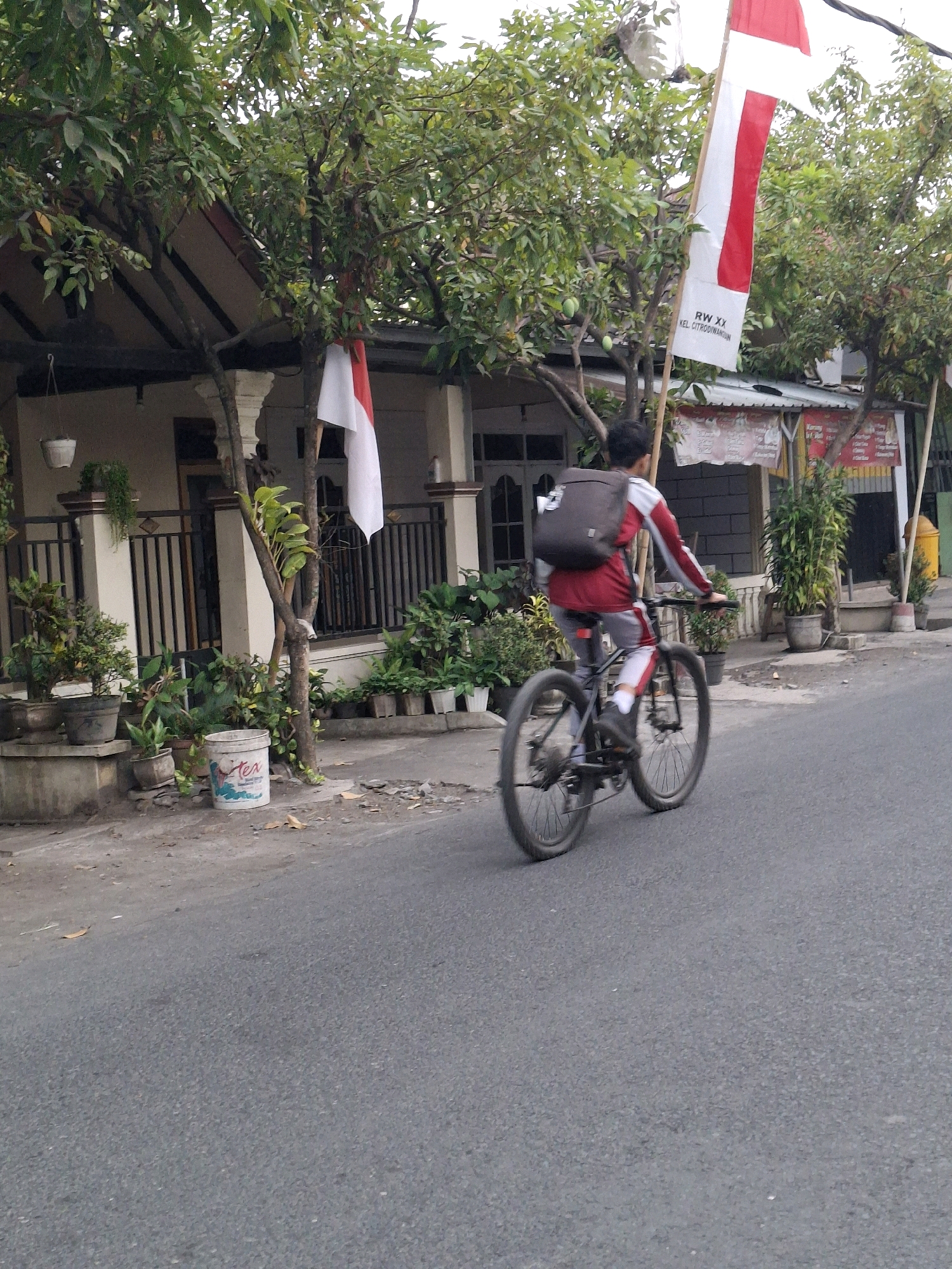 In Lumajang, Indonesia, a young person wearing a red and white uniform and a dark backpack rides a bicycle down a paved street lined with houses and lush greenery. A large Indonesian flag, red and white, hangs from a pole near a house with a covered entryway. Several potted plants and a white bucket with red lettering are visible on the side of the road in front of the houses. The sky is overcast.