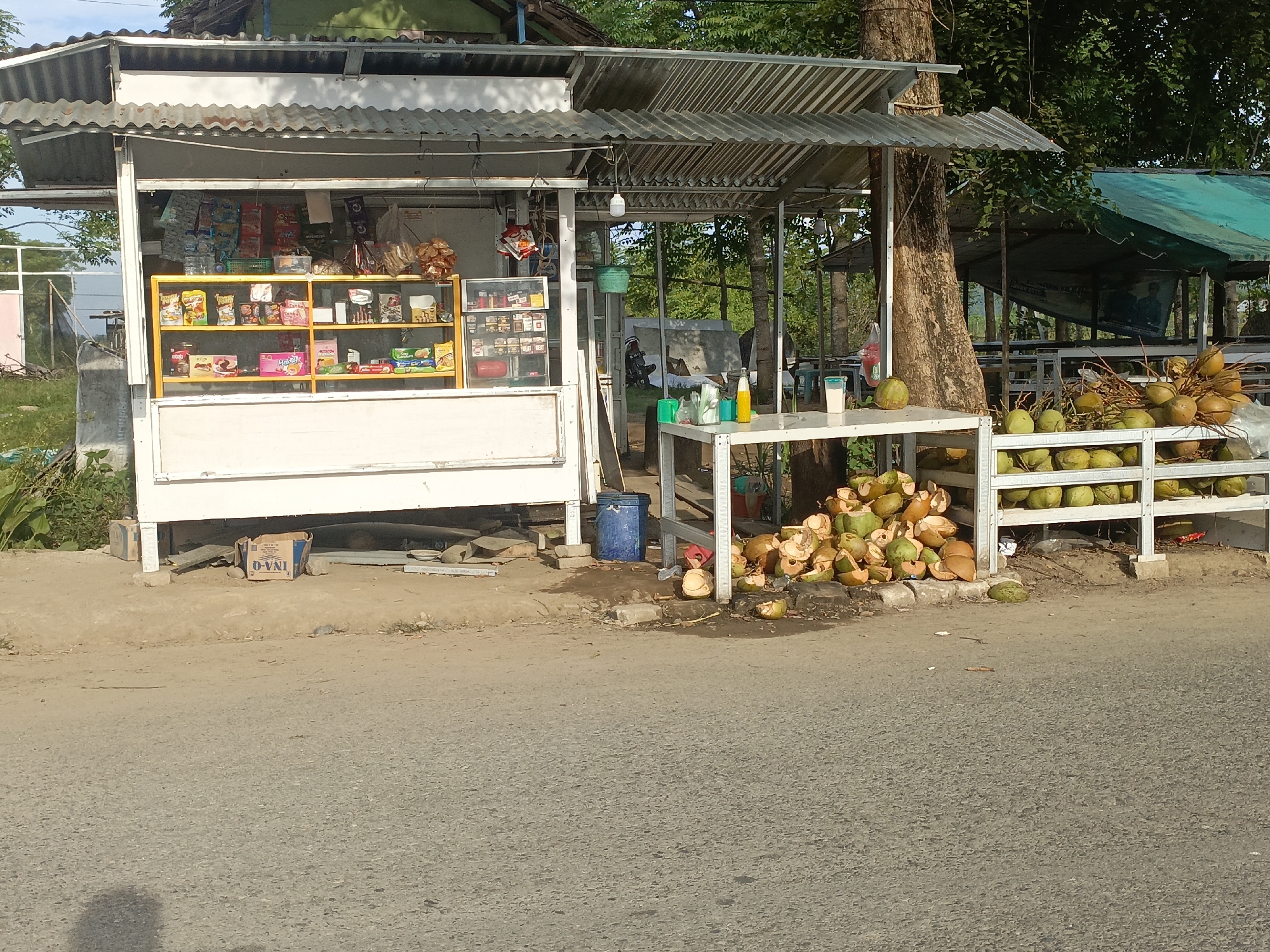 This image depicts a roadside stall in Meureudu, Indonesia, specializing in the sale of fresh coconuts and assorted packaged goods. The stall, constructed with a corrugated metal roof and white wooden front, is situated alongside a paved road. To the left, shelves display various packaged snacks and drinks. In the center and right, a large quantity of coconuts, both whole and halved, are arranged for sale. Some are displayed on a white metal rack, while others are piled on the ground. A large tree stands behind the stall, and lush green foliage is visible in the background, suggesting a semi-rural or suburban setting. The overall scene captures a typical street vendor setup, emphasizing local produce and convenience items.