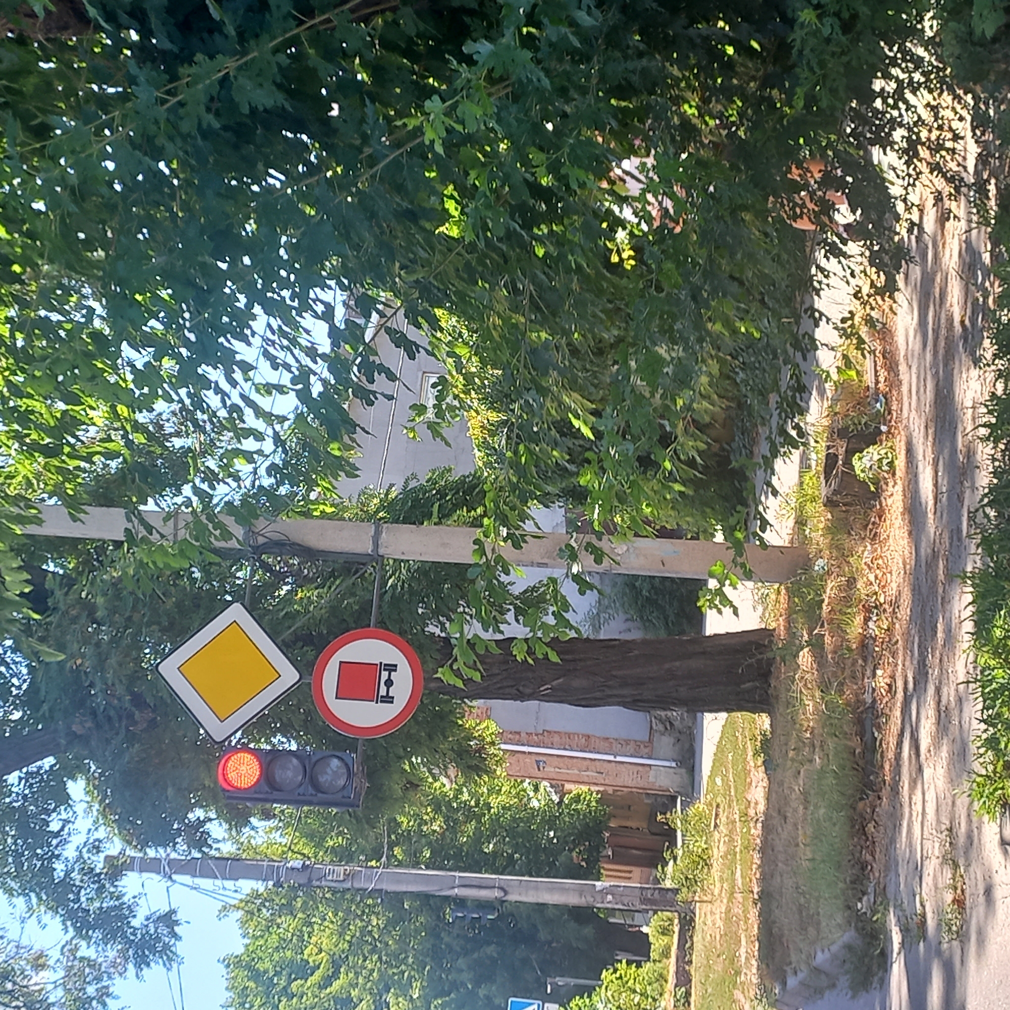 The image depicts a street scene in Kropyvnytskyi, Ukraine, characterized by a traffic light displaying a red signal. Beside the traffic light, a yellow diamond-shaped sign with a white border is visible, likely indicating a priority road. Below this, a circular sign with a red border encloses a red square symbol superimposed on a truck outline, signifying a restriction on trucks. A concrete utility pole supports the traffic signals and signs. Dense green foliage from trees overhangs the scene, with dappled sunlight filtering through the leaves. In the background, a building with brick and concrete elements is partially obscured by the vegetation. The foreground shows a paved road with a grassy verge and a sidewalk, with a tree trunk prominently positioned on the right side of the frame. The overall environment suggests an urban or suburban street setting on a clear day.