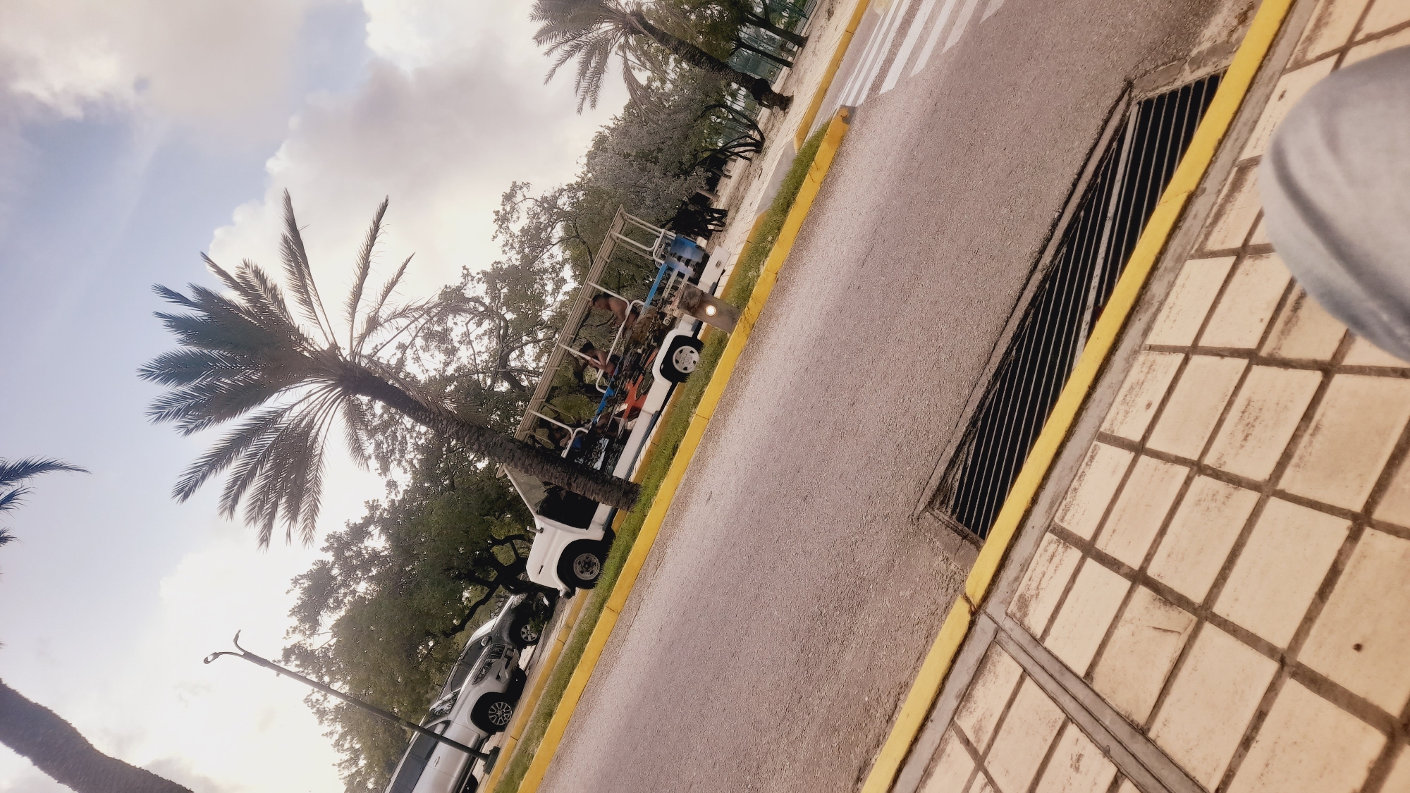 The image depicts a street scene in the city of Pedro González, Venezuela, on a cloudy day. In the foreground, a gray asphalt road is visible, bordered by a yellow curb. To the left of the road is a pedestrian walkway with square concrete tiles. A metal grate covers a drainage channel along the curb.
In the middle ground, a white, open-air shuttle vehicle is parked on the side of the road. Several people are seated inside the vehicle. Behind the shuttle, several cars are parked, including a silver SUV. Palm trees and other foliage are present along the side of the road and in the background, suggesting a tropical or subtropical environment. A lamppost is also visible to the left of the shuttle. The overall impression is that of a parking area or roadside in a town or resort setting.