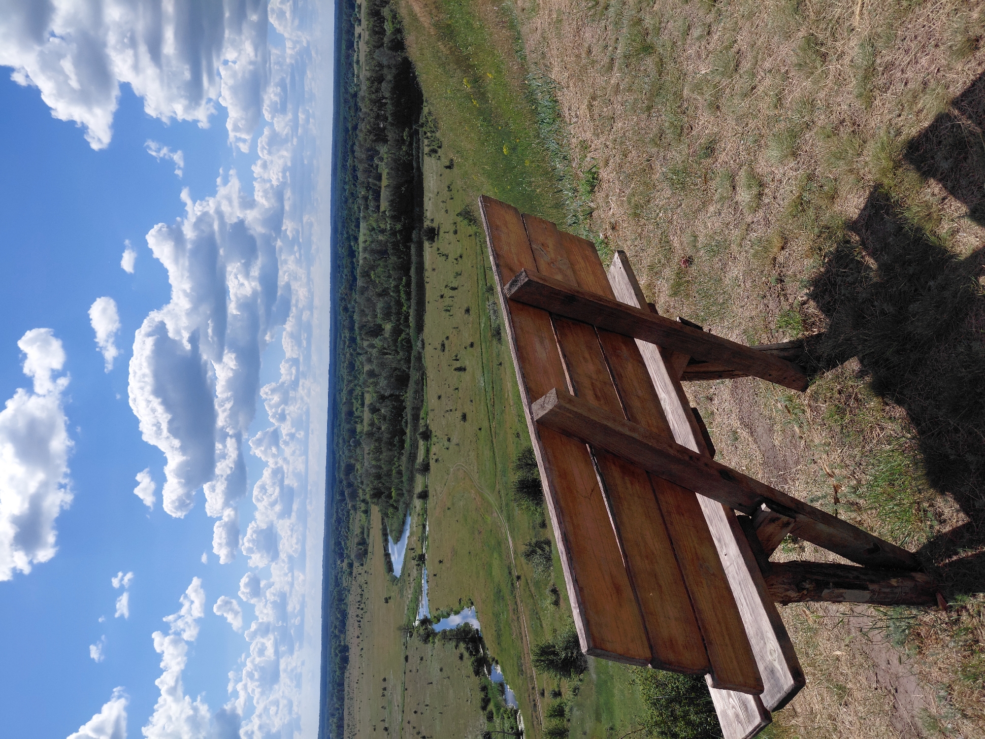 A wooden bench faces a scenic landscape of green fields and a winding river under a bright blue sky with fluffy white clouds. The bench is positioned on a grassy hilltop, casting a shadow on the dry ground. The distant landscape features a dense forest bordering the fields.