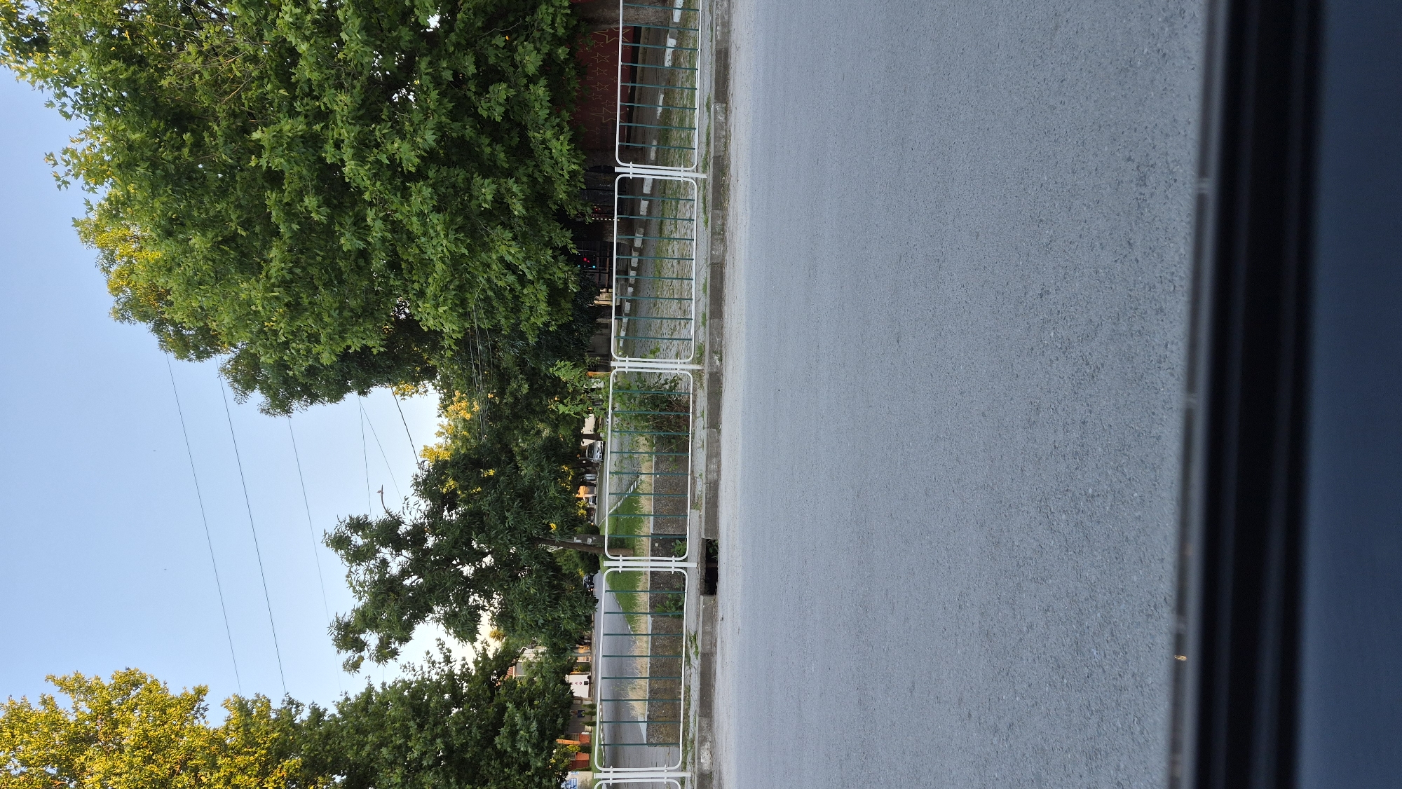 The image depicts a street scene in an urban environment. In the foreground, a grey asphalt road stretches across the frame, with a dark, blurry edge at the bottom suggesting the perspective of a vehicle's interior. A low, white metal fence with green bars separates the road from a raised planter bed. The planter bed contains dry grass and some sparse green vegetation. Behind the fence, a sidewalk and more trees are visible. In the background, mature trees with lush green foliage dominate the scene, casting shadows on the ground. The sky above is clear and blue, with a few faint power lines stretching horizontally across it. The lighting suggests it is late afternoon or early evening, with the sun casting a warm glow on the trees. There are no people or animals clearly visible in the image, only parked vehicles in the distance.