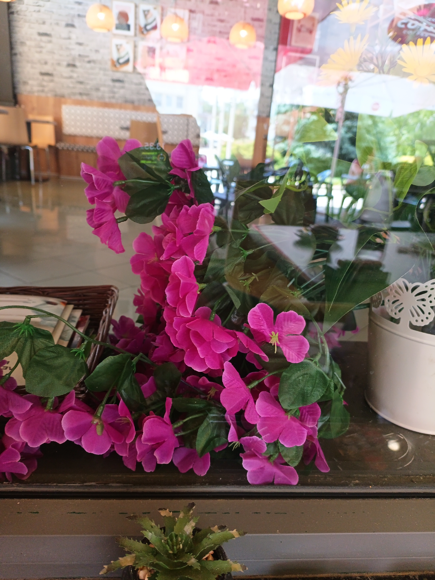 The image depicts an indoor scene, possibly a café or restaurant in Karnobat, Bulgaria, based on the reflection in the window. In the foreground, there's an arrangement of bright pink flowers with green leaves, partially obscuring a wicker basket holding papers or cards. A small succulent plant is also visible near the bottom of the frame. Through the glass, a blurred view of the interior includes tables, chairs, and a wall with decorative pictures or prints under hanging light fixtures. Outside, there's a glimpse of greenery, suggesting a park or garden setting. The reflection creates a layered composition, merging the interior and exterior views.