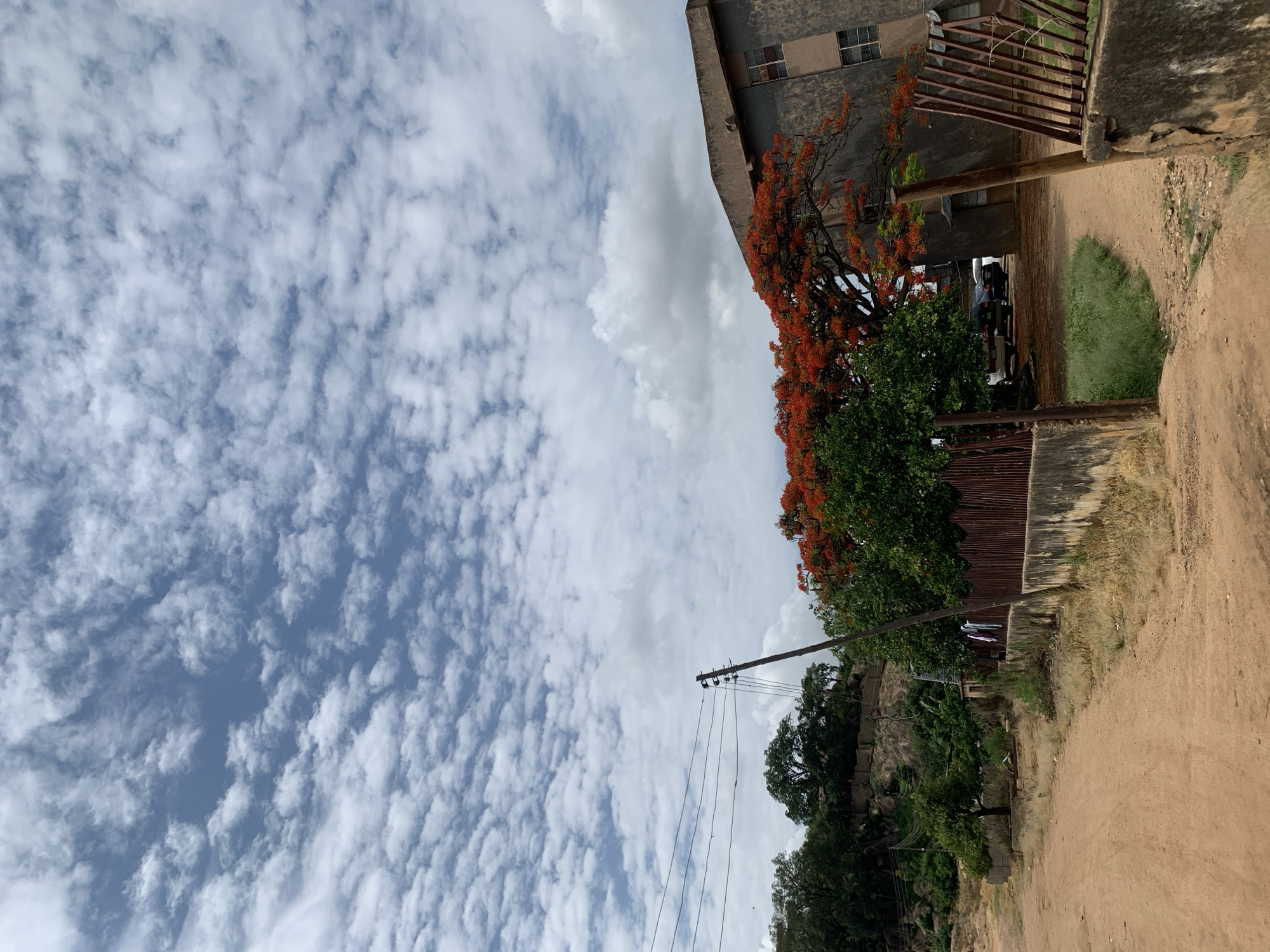 The image captures an outdoor scene in New Stadium, Nigeria, under a sky largely covered by scattered, small altocumulus clouds with patches of visible blue. The foreground features an unpaved, reddish-brown dirt road that curves from the lower left towards the right. Along the right side of the road, a low concrete wall is topped by a rusty, corrugated metal fence, over which three articles of clothing (white, purple, and a third indeterminate color) are hung. To the far right, a rusty metal gate, constructed of vertical bars, stands partially open, revealing an unpaved area with several dark-colored vehicles parked within.
A large tree with vibrant red-orange flowers, consistent with *Delonix regia*, occupies the right mid-ground, extending its canopy towards the upper right. Behind this tree stands a multi-story, weathered building with a gray, possibly concrete or stucco, facade and visible rectangular windows. In the central mid-ground, a wooden utility pole supports multiple power lines that extend horizontally to the left. The left side of the background features a rising, rocky hillside covered with green trees and some visible terraced or retaining wall structures. Patches of dry, yellowish grass and green weeds are interspersed along the road edges and near the fences. No individuals are present in the frame.