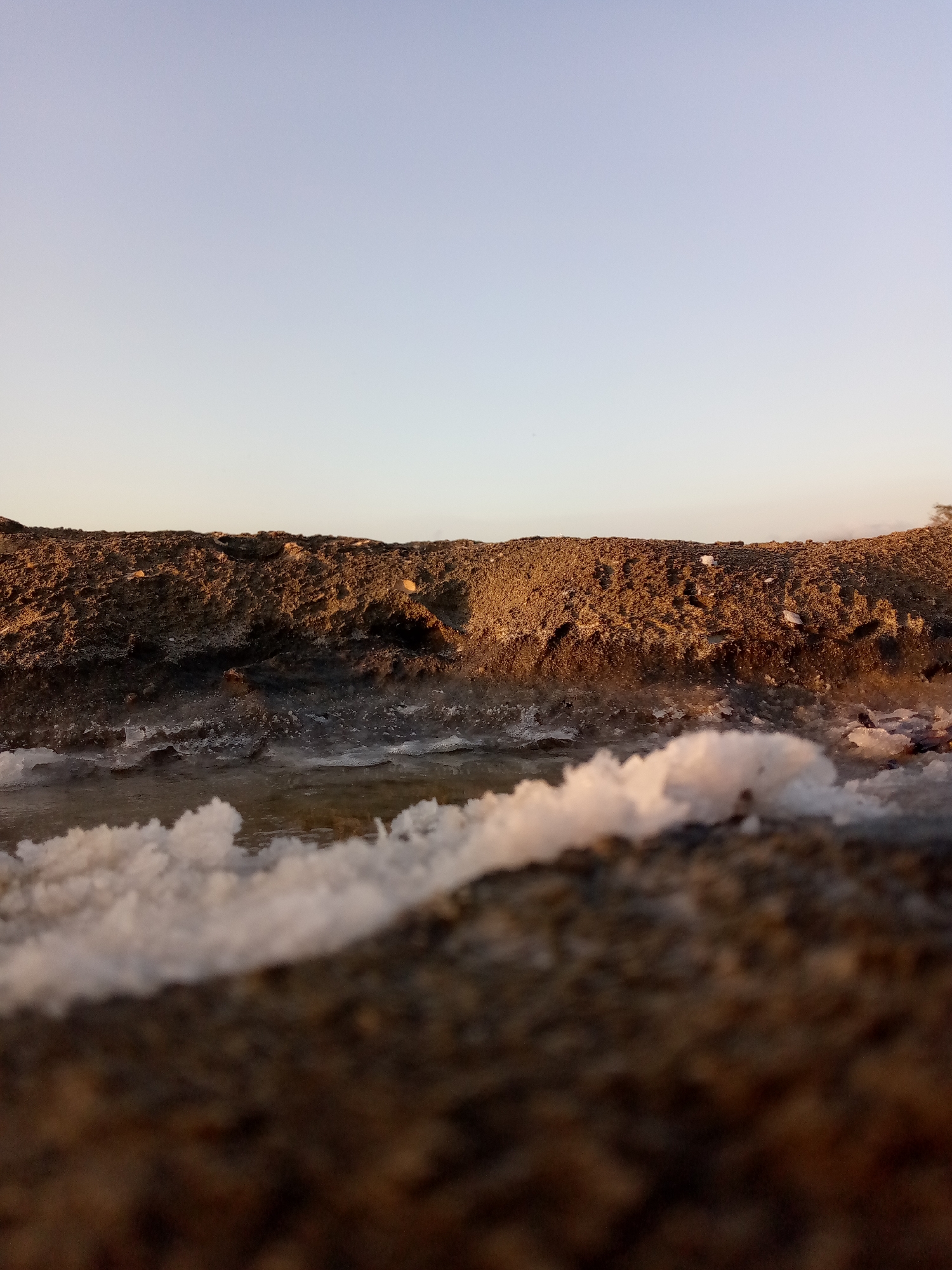 The image depicts a salt pan or salt evaporation pond, likely in Juan Griego, Venezuela. The foreground features coarse, brown soil or rock covered with crystalline salt. Behind this, there is a layer of water saturated with salt, with visible salt crystals forming on its surface and edges. Further back, a low ridge of dark, slightly elevated terrain is visible. The sky above is clear and fades from a pale blue near the horizon to a lighter shade above. The warm lighting suggests that the image was taken during sunrise or sunset. No people are visible.