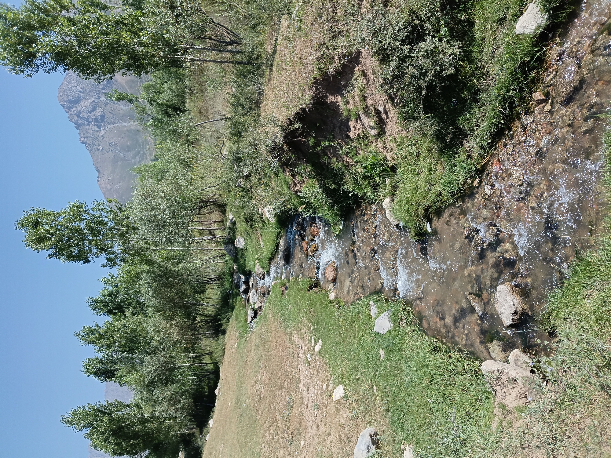 The image depicts a natural scene in Kashkarona, Tajikistan. A shallow stream flows through a landscape characterized by dry grass, lush green grass, and various trees. In the background, a large, rocky mountain dominates the skyline under a clear blue sky. The stream bed is visible, filled with rocks of different sizes and clear, flowing water. The banks of the stream are lined with rocks and vegetation. The overall impression is one of a serene, rural environment. There are no people or animals visible in the image, and no specific actions or interactions are taking place.