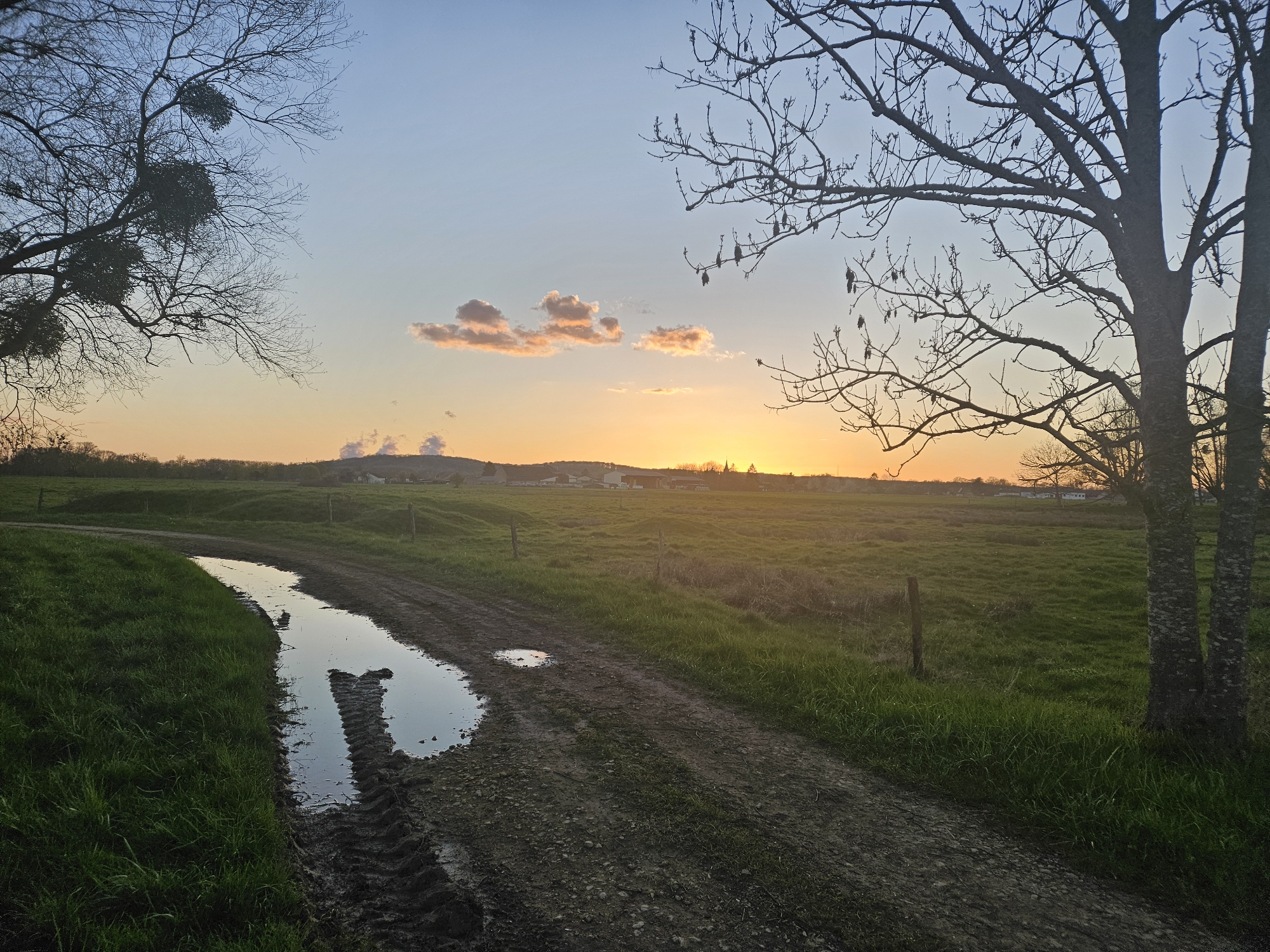 The image depicts a rural scene in Gavisse, France, at sunset. A muddy path leads through a grassy field, with a large puddle reflecting the sky and possibly the path's edge. Bare trees frame the scene on either side, with clusters of mistletoe visible in the branches of the tree on the left. The sun is setting on the horizon, casting an orange glow across the landscape. In the distance, buildings and a small hill are visible. There are no people in the frame. The overall environment is peaceful and natural.