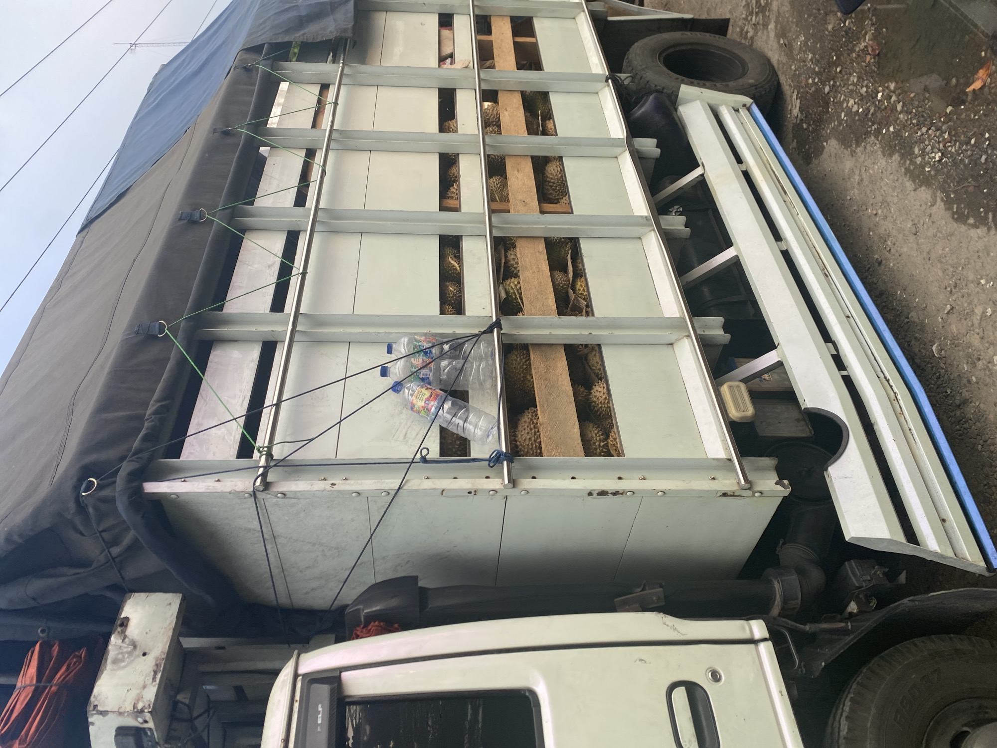 A side view of a white truck filled with durians is captured in Depok, Indonesia. The truck's cargo bed is constructed with light blue metal slats and wooden dividers, holding numerous durians. A black tarp is stretched over the top of the cargo area, secured with green ropes. Two plastic water bottles are visible in the upper section of the cargo. The truck's cab is white, and part of the front wheel is visible. The ground is a mix of dirt, gravel, and some wet patches. The sky appears overcast.