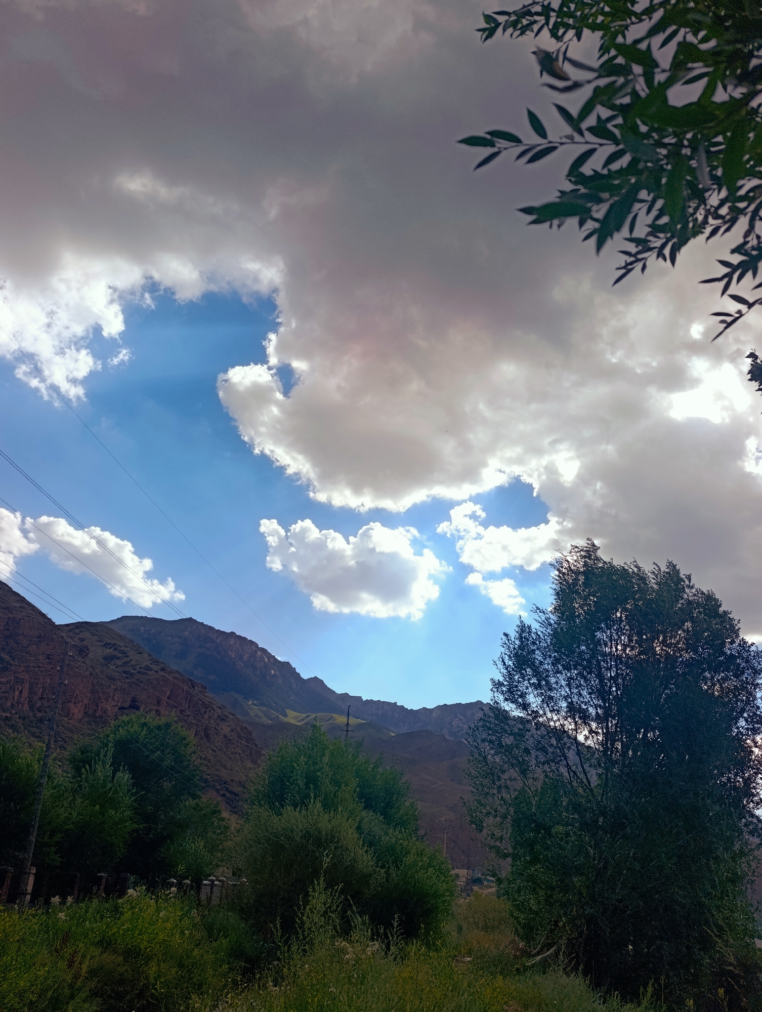 A panoramic view shows a mountainous landscape under a dramatic sky. The foreground is dominated by lush green vegetation, including trees and tall grasses, with a low fence visible in the lower portion of the image. In the midground, a series of trees create a natural barrier, and beyond them, the slopes of brown mountains rise. These mountains are rugged and textured, with hints of green vegetation on their lower inclines. Several power lines stretch across the scene, diagonally crossing the sky and connecting to poles on the mountain slopes. The sky is a dynamic canvas of blues and grays, with large, billowing clouds that are partially illuminated by the sun, creating dramatic shafts of light. In the upper right corner, the branches of a leafy tree frame the sky. The image appears to be taken in Naryn City, Kyrgyzstan, suggesting a natural, rural setting with infrastructure elements.