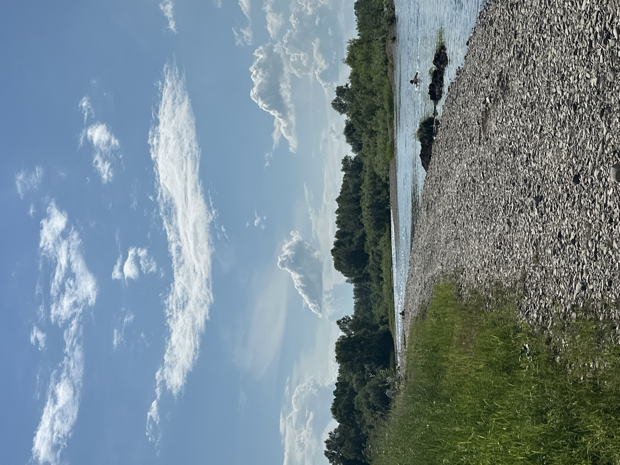 The image depicts a sunny day with a clear blue sky and scattered white clouds. The scene is a natural landscape with a river in the foreground, its surface reflecting the sky. The riverbank is covered in pebbles, with patches of green grass and reeds growing along the edge. Dense green trees line the opposite bank of the river. In the water, a person is visible swimming. On the riverbank closer to the viewer, a few people are present. The overall impression is of a peaceful recreational area. The location is identified as the city of Bely Yar, Russia.