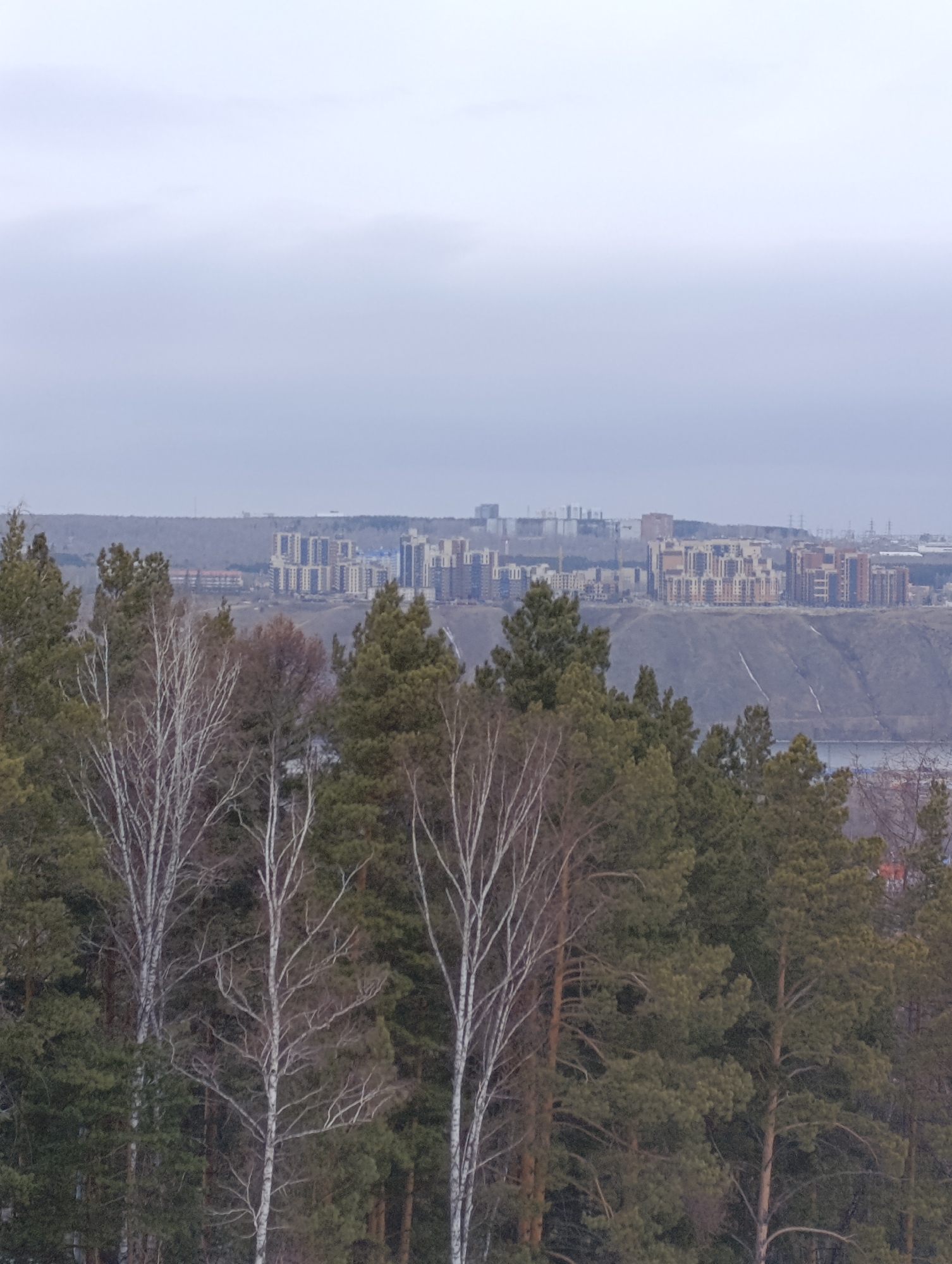 The image presents a view of Krasnoyarsk, Russia, taken from a vantage point overlooking a forested area in the foreground. The dense forest predominantly consists of evergreen trees, with some deciduous trees interspersed, identifiable by their bare, light-colored branches.
In the midground, there is a visible elevation with residential buildings constructed atop it. The architectural style of the buildings suggests a modern urban development, characterized by multi-story structures.
The background is marked by a subdued, overcast sky, suggesting either a cloudy day or the presence of atmospheric haze. This atmospheric condition softens the cityscape and reduces the contrast, creating a somewhat muted visual experience.