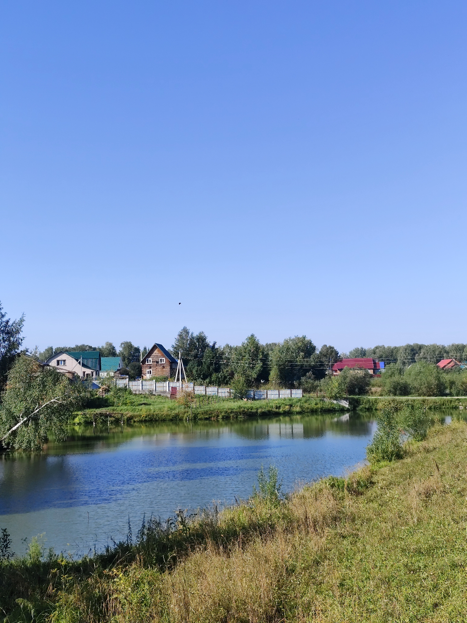 The image depicts a serene rural landscape in Barlaksky, Russia. A calm body of water, likely a river or lake, occupies the foreground and middle ground, reflecting the clear blue sky. The water's surface shows subtle variations in color, suggesting a transition from deeper, darker blue to lighter, more greenish hues. The banks of the water body are lined with lush green grass and tall reeds, indicative of a natural, uncultivated environment.
Across the water, a cluster of houses and other structures are visible, nestled amongst dense green trees. One prominent building is a wooden house with a dark pitched roof and visible windows. To its left, another house features a green roof. A white picket fence runs along the bank in front of these buildings, separating them from the water. Further down the shoreline, a red-roofed building is partially visible. The background is dominated by a wall of trees, creating a natural boundary for the settlement. The sky is a vast expanse of clear, bright blue, with no clouds. A small, dark bird is captured in flight against the sky, adding a touch of dynamic movement to the otherwise static scene. The overall impression is one of a peaceful, rural summer day.