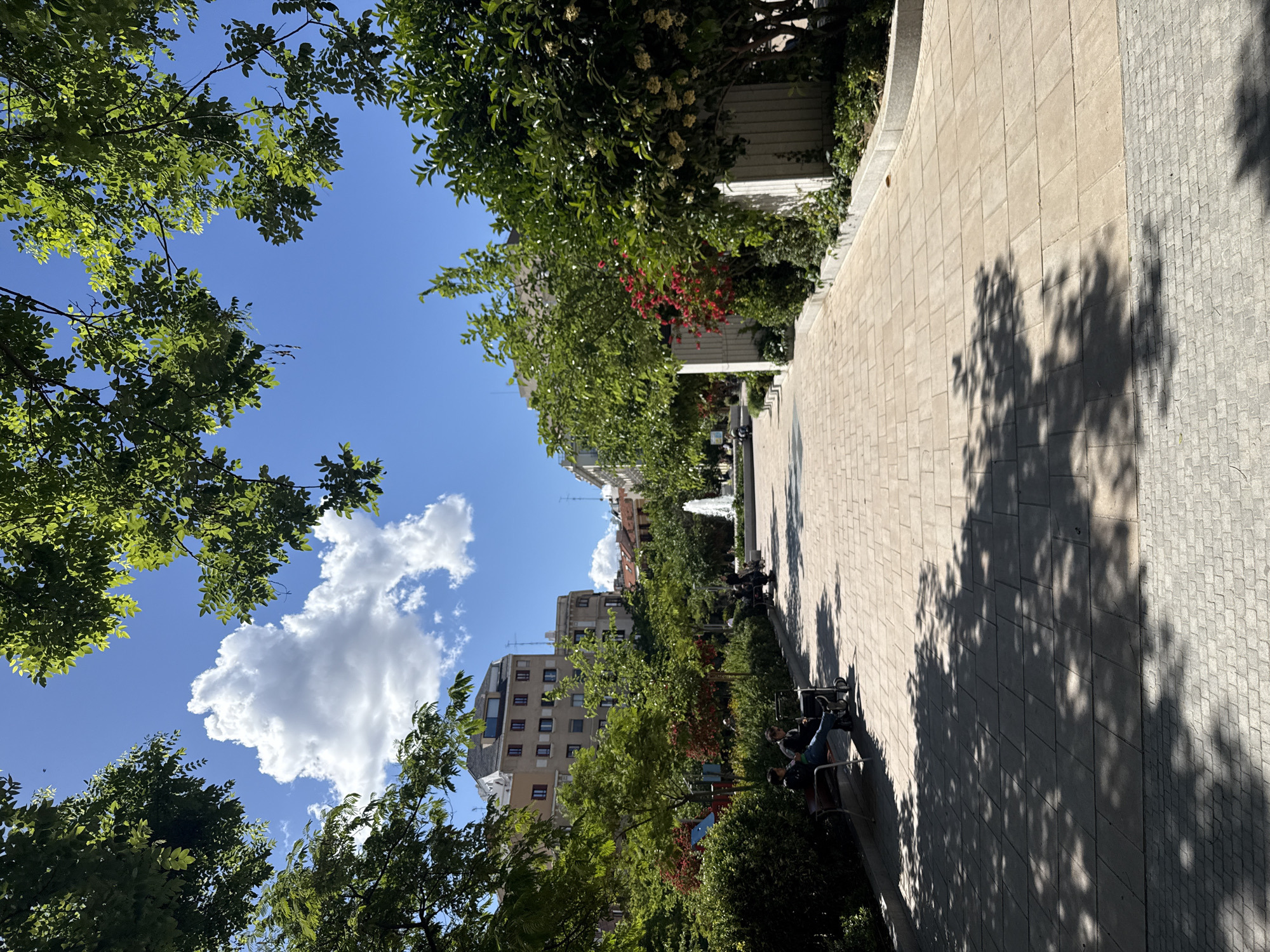 The image shows a park setting in Madrid, Spain, with a view looking up a tree-lined walkway. The walkway is paved with light-colored rectangular stones on one side and smaller, darker cobblestones on the other. The path is partially shaded by trees, casting shadows on the surface. Along the walkway, there are trees and flowering bushes, some displaying red blooms. In the distance, buildings are visible. People are sitting on benches along the path, though they are not distinctly visible. The sky is blue with a large, puffy white cloud. Tree branches frame the view in the foreground. A water fountain can be seen in the distance.
