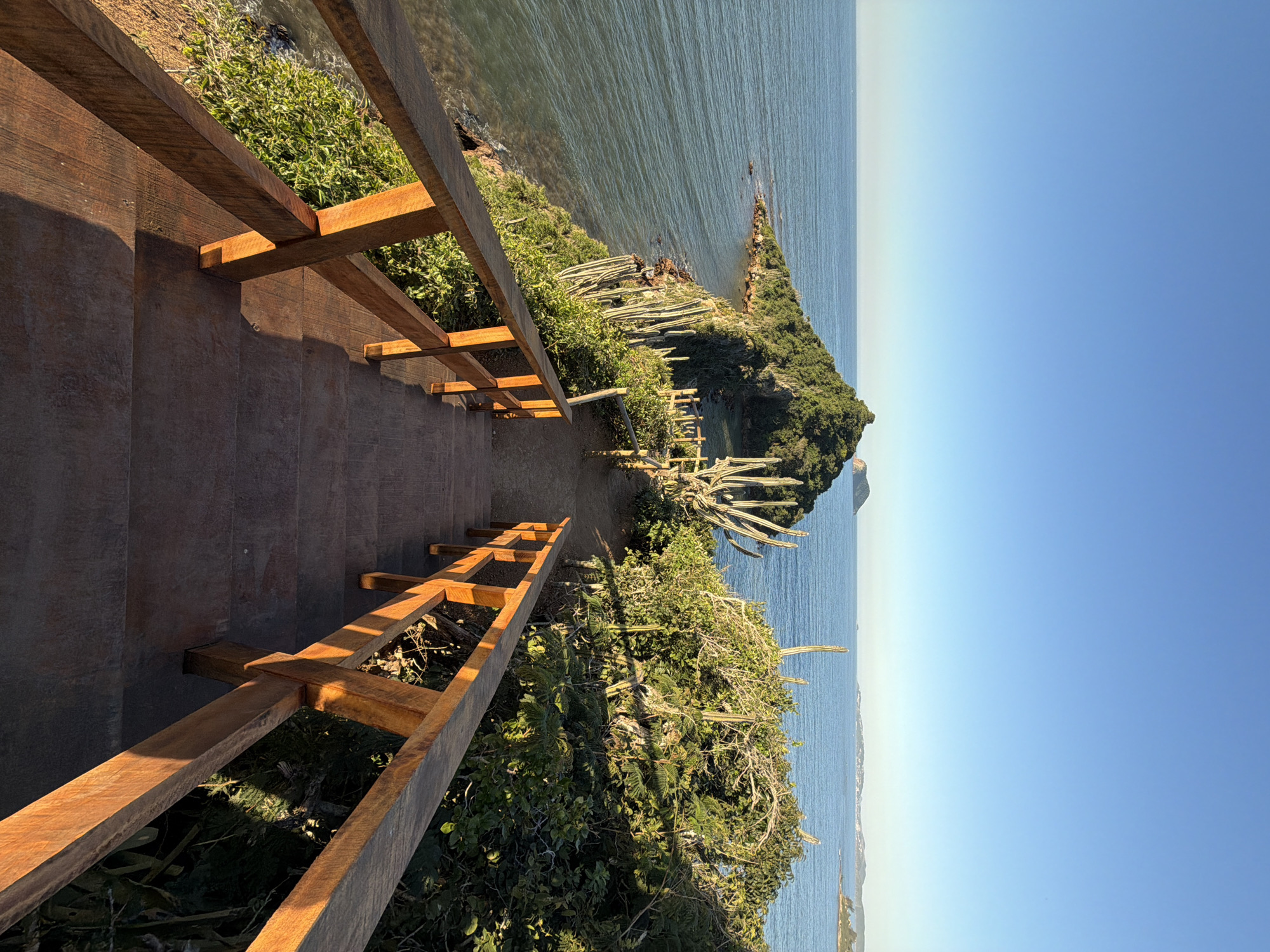 A wooden staircase with brown railings descends towards the ocean, leading to a narrow dirt path. The path curves around a lush green hillside dotted with tall, slender cacti. The hillside slopes down to the rocky shoreline and the deep blue ocean. In the distance, a large, tree-covered peninsula juts out into the sea, with a smaller island visible further beyond. The sky is a clear, bright blue. The location is the Orla Bardot in Armação dos Búzios, Brazil.
