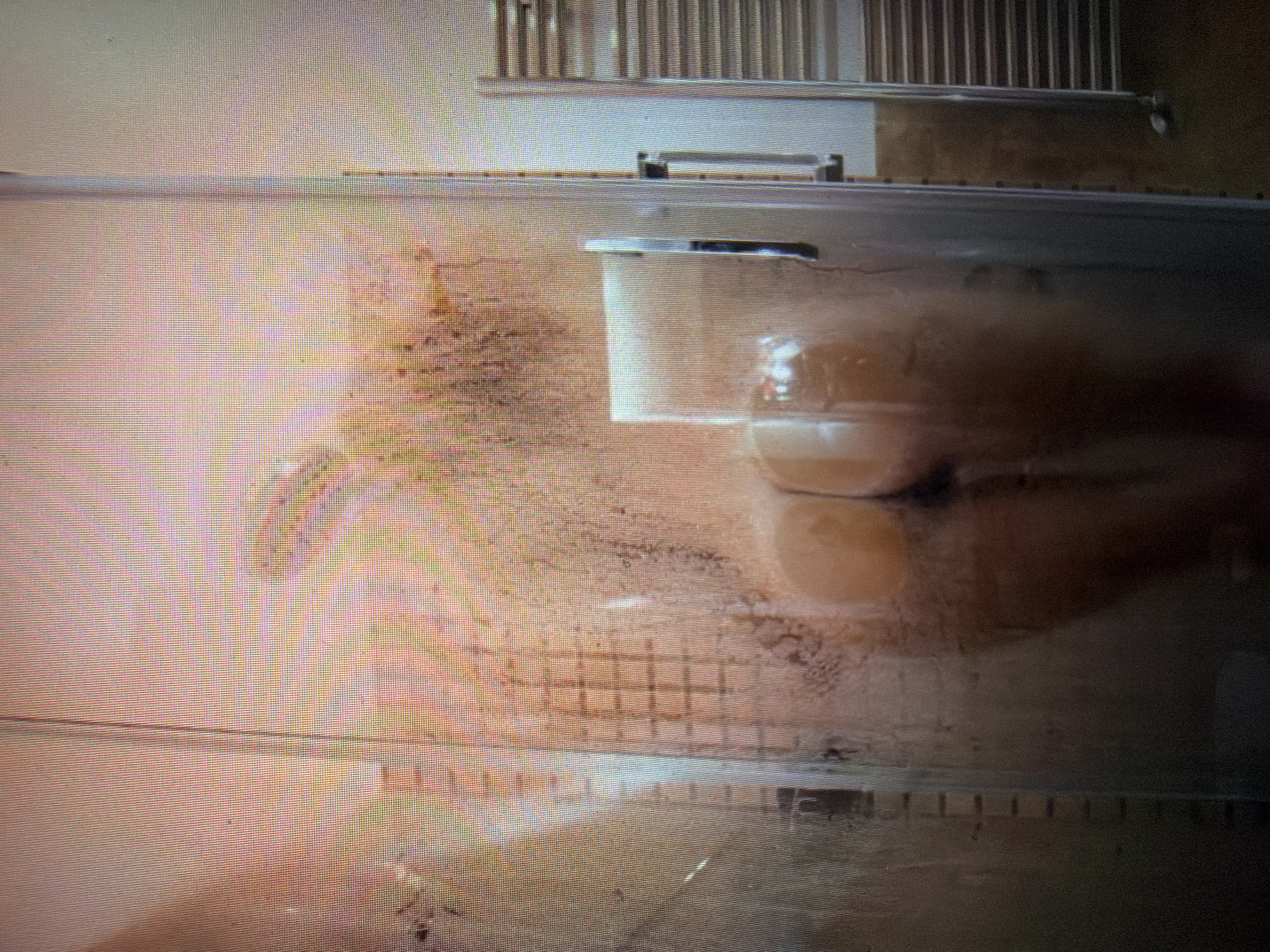 A rear view of a person's buttocks and thighs is visible through a steamy glass shower door. The shower enclosure has a silver handle. To the right of the shower, a silver towel warmer with horizontal bars is mounted on a wall. The floor is a dark color.