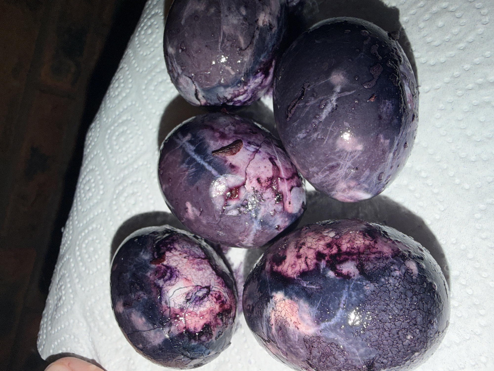 Five eggs are arranged on a white, textured surface. The eggs are predominantly shades of purple, with mottled patterns of darker and lighter colors. The surface appears to be a paper towel. A small, brown object is on one egg. The eggs are wet and reflective. There is no information available to determine the city location of the image. There is no indication of people, actions or interactions. The environment consists only of the objects described.