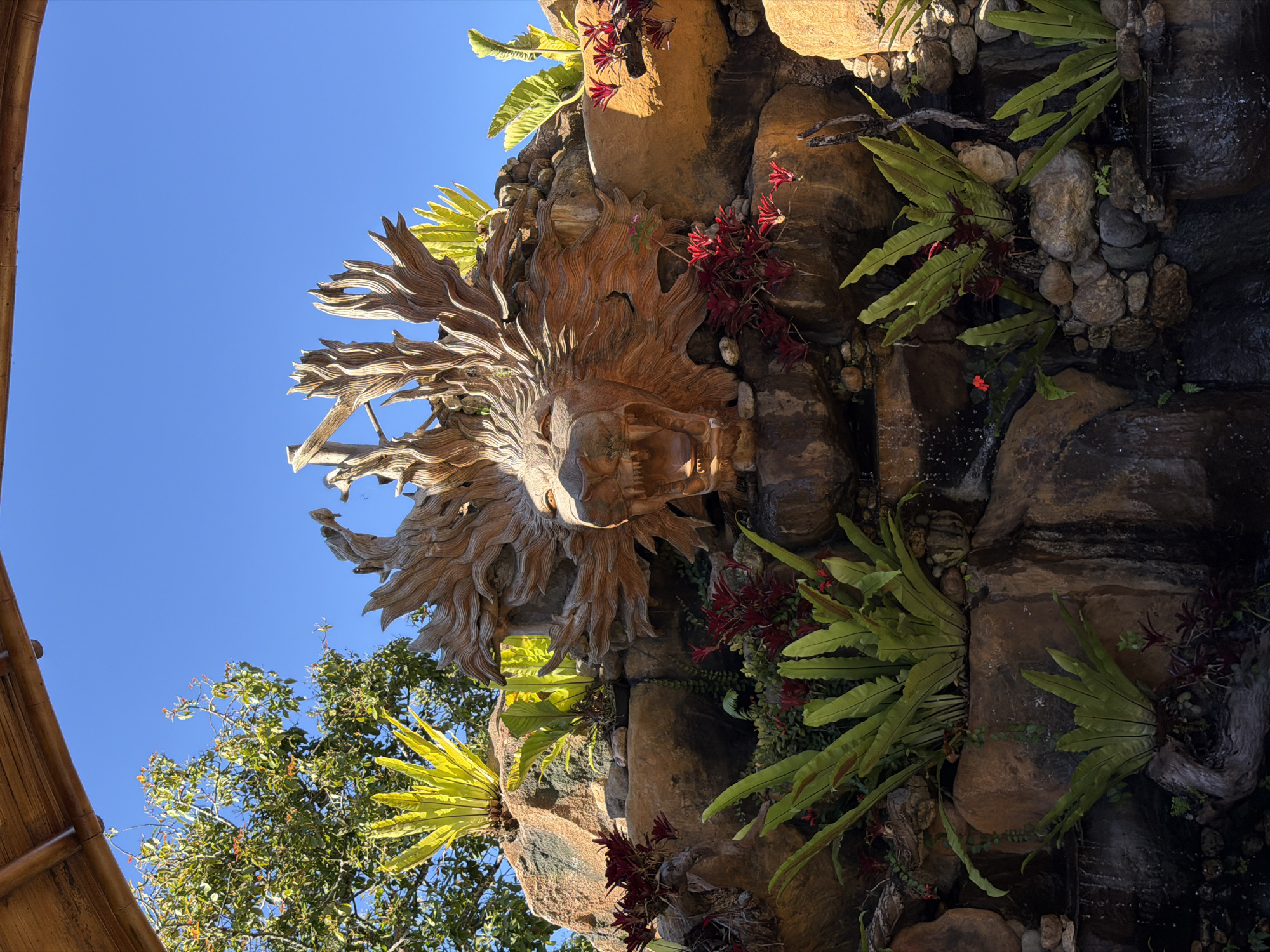 A carved wooden lion head sculpture is integrated into a rock garden water feature. The lion's mouth is open, revealing carved teeth and a tongue. Its mane is depicted as flowing, made from rough-hewn wood. Lush green plants, including ferns and what appear to be bromeliads with red foliage, are interspersed among the rocks. Small waterfalls cascade down the rocks, suggesting a flowing water element. The scene is bathed in bright sunlight, casting shadows and highlighting the textures of the wood and stone. A portion of a bamboo roof structure is visible at the top of the frame. This image was taken in Baturiti, Indonesia.