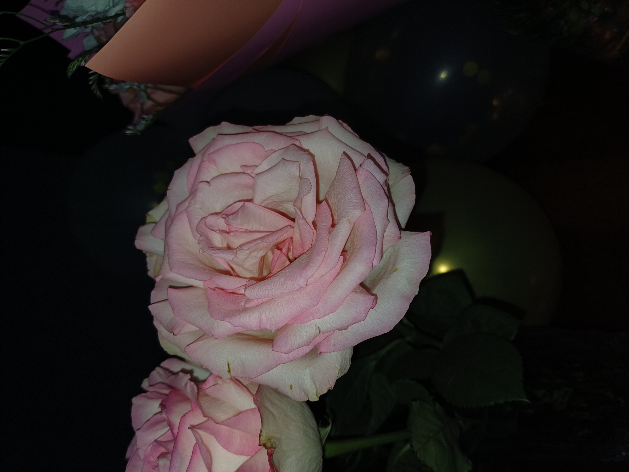 This is a close-up, low-light photograph of two pink and white roses. The primary subject is a large, fully bloomed rose in the center of the frame, with its petals unfurling in delicate layers. To the bottom left, a second rose is partially visible, also appearing to be in bloom. The roses are a pale pink transitioning to a creamy white, with some subtle darker pink veining on the inner petals.
The background is very dark and out of focus, with hints of other elements that are difficult to discern. There are some soft, out-of-focus circles of light, possibly from artificial lighting or reflections. There's also a suggestion of darker shapes that might be other flowers or foliage, and a muted, possibly peachy-colored surface in the upper left, possibly part of a bouquet wrapper or other decorative element.
The lighting suggests it is nighttime or the scene is in a dimly lit indoor environment. The focus is sharp on the roses, highlighting the texture of the petals and their soft colors. The overall mood is intimate and perhaps romantic, given the subject matter and the gentle lighting. There is no visible text in the image.