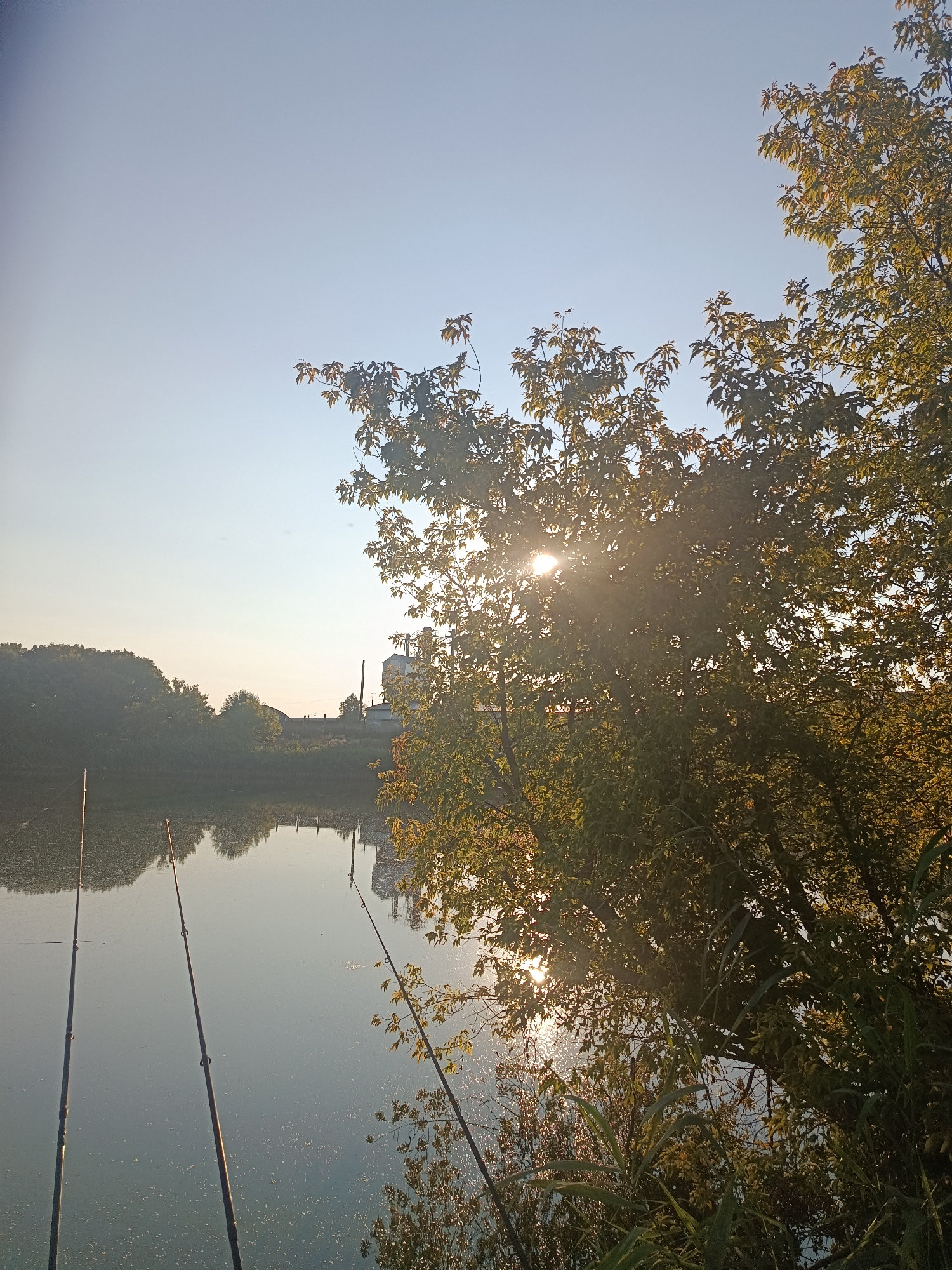 The image shows a calm body of water, possibly a river or lake, under a clear sky with the sun shining through the leaves of a tree. There are three fishing rods visible in the foreground, planted in the ground and extending into the water. The tree on the right side of the image is full of green leaves, and the sun's rays are creating a lens flare effect as they pass through the foliage. In the background, across the water, there is a treeline and several industrial buildings, one of which appears to be a large silo or tower. The overall scene suggests a peaceful outdoor setting, likely in a rural or semi-industrial area. The image does not contain any people.