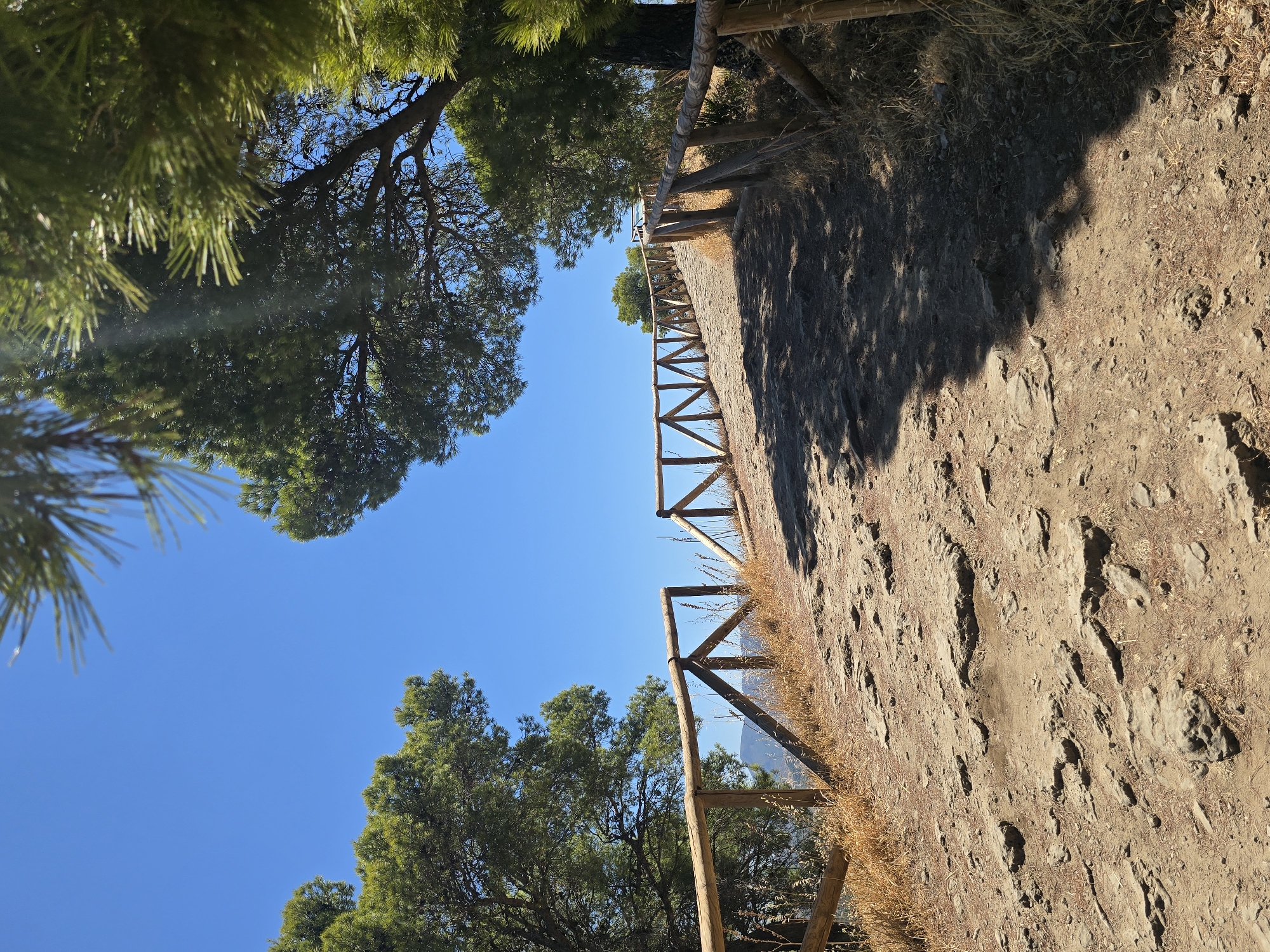 The image depicts a winding, rocky path ascending a hillside under a clear blue sky. The path is bordered by a rustic wooden fence, constructed from rough-hewn logs. Pine trees with dense green foliage flank the path on either side, casting dappled shadows on the ground. The terrain appears dry and arid, with patches of yellowing grass growing alongside the path. In the distance, faint outlines of mountains are visible, suggesting a rural or natural setting. The path appears to be a hiking trail, possibly located in a nature reserve or a scenic area within the municipality of Campillos, Spain.