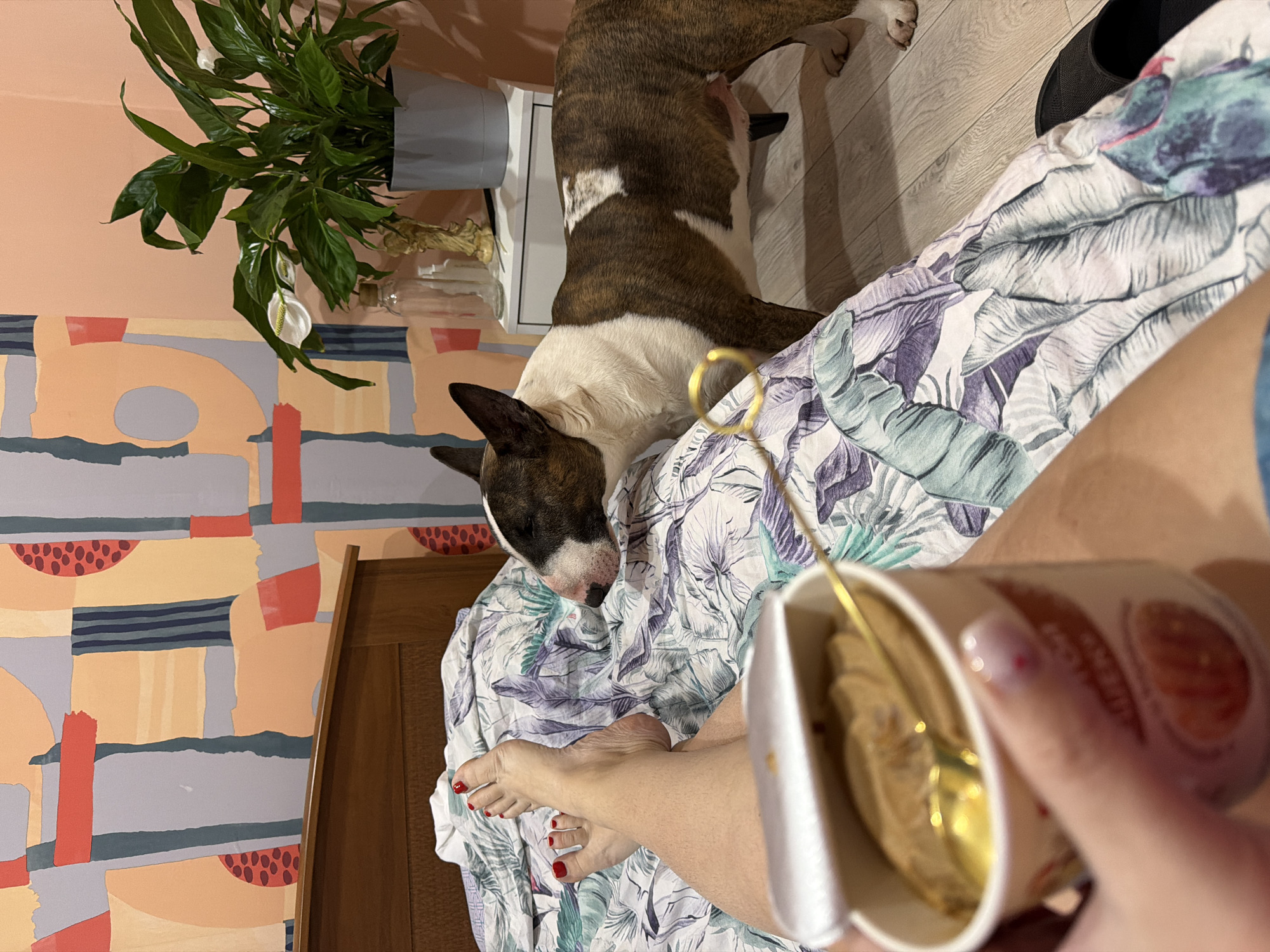 A brindle and white Bull Terrier dog rests its head on a bed covered in a floral print duvet. A woman's bare feet with red painted toenails are visible near the dog. In the foreground, a woman holds a container of ice cream with a gold spoon in it. The scene is indoors, with a wall featuring an abstract geometric pattern in the background. A houseplant in a gray pot stands on a white shelf or table. A bottle is to the right of the plant. The image was taken in the city of Chaikovsky, Russia.