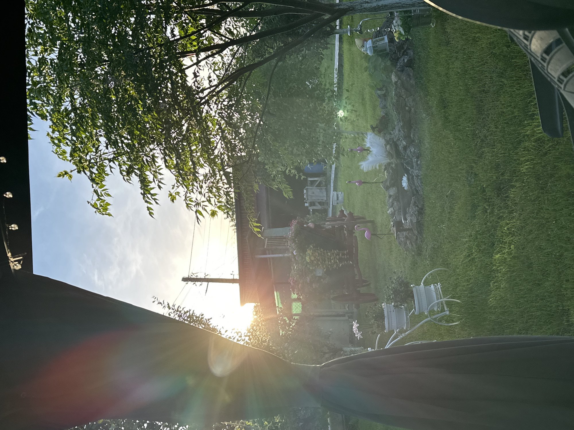 The image depicts a backyard scene in Goran, Bulgaria. A glimpse of a wooden house is visible through the trees, bathed in sunlight. The yard features a rock garden, pink flamingos, and decorative white sculptures. A white metal plant stand sits on the grass. The view is partially obscured by a dark canopy. A power line can be seen near the house.