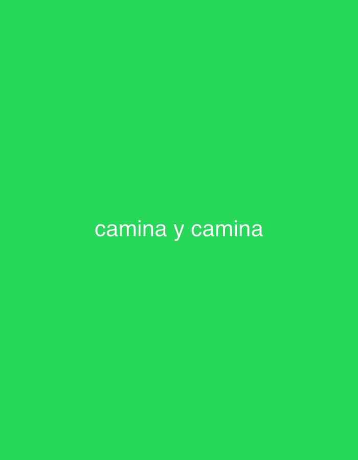 The image displays a solid, bright green background. Centered horizontally on this background, there is text written in white, which reads "camina y camina". There are no discernible subjects, objects, or a specific scene or setting beyond the colored background and text. No activity or event is depicted. There are no visual cues regarding time of day, weather, or location, thus the provided context of Santa Ana, Venezuela, cannot be verified from the image itself. The overall impression is minimalist, focusing solely on the text against a vibrant, monochrome backdrop.
