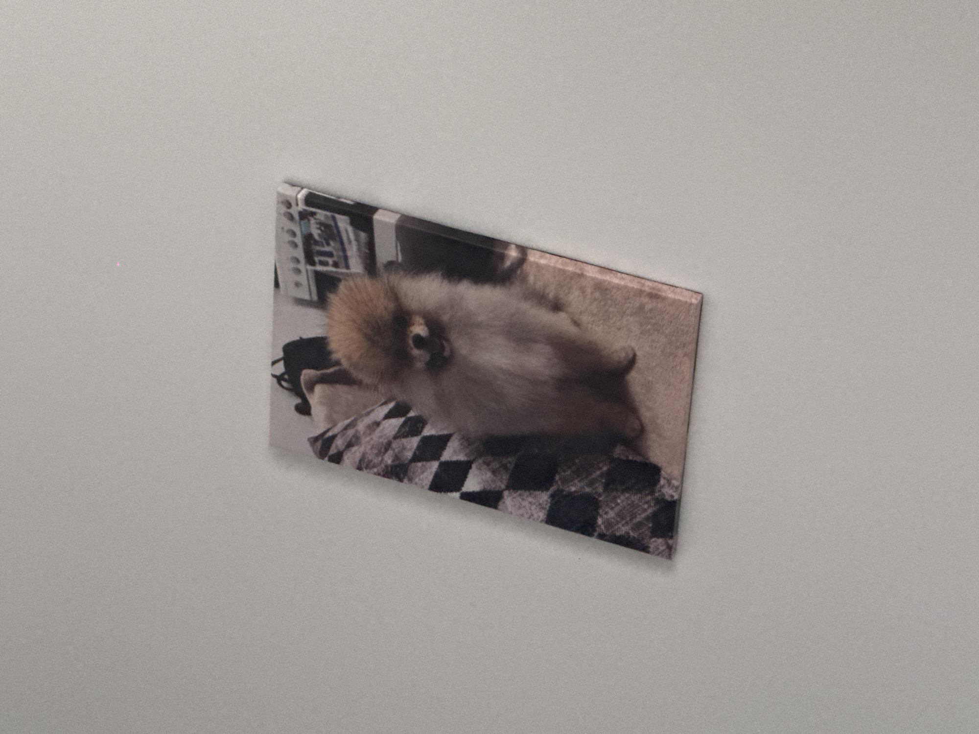 A vertically oriented rectangular print featuring a Pomeranian dog is displayed diagonally against a plain, light gray surface. The dog, with light brown and tan fur, is depicted sitting with its mouth slightly open, appearing to smile, and looking directly forward. It is positioned on a light-colored, possibly carpeted, surface within the print. The background within the print shows a distinct black and white checkered pattern to the left of the dog, while the right side is blurred, revealing indistinct objects including what appears to be an appliance with multiple dials or buttons at the top right. The physical print casts a subtle shadow on the uniform light gray background. A small, singular pink dot is visible on the light gray background surface, located above and slightly to the right of the print's upper edge. The image contains no discernible visual elements or identifiers specific to the city of Sofia, Bulgaria.