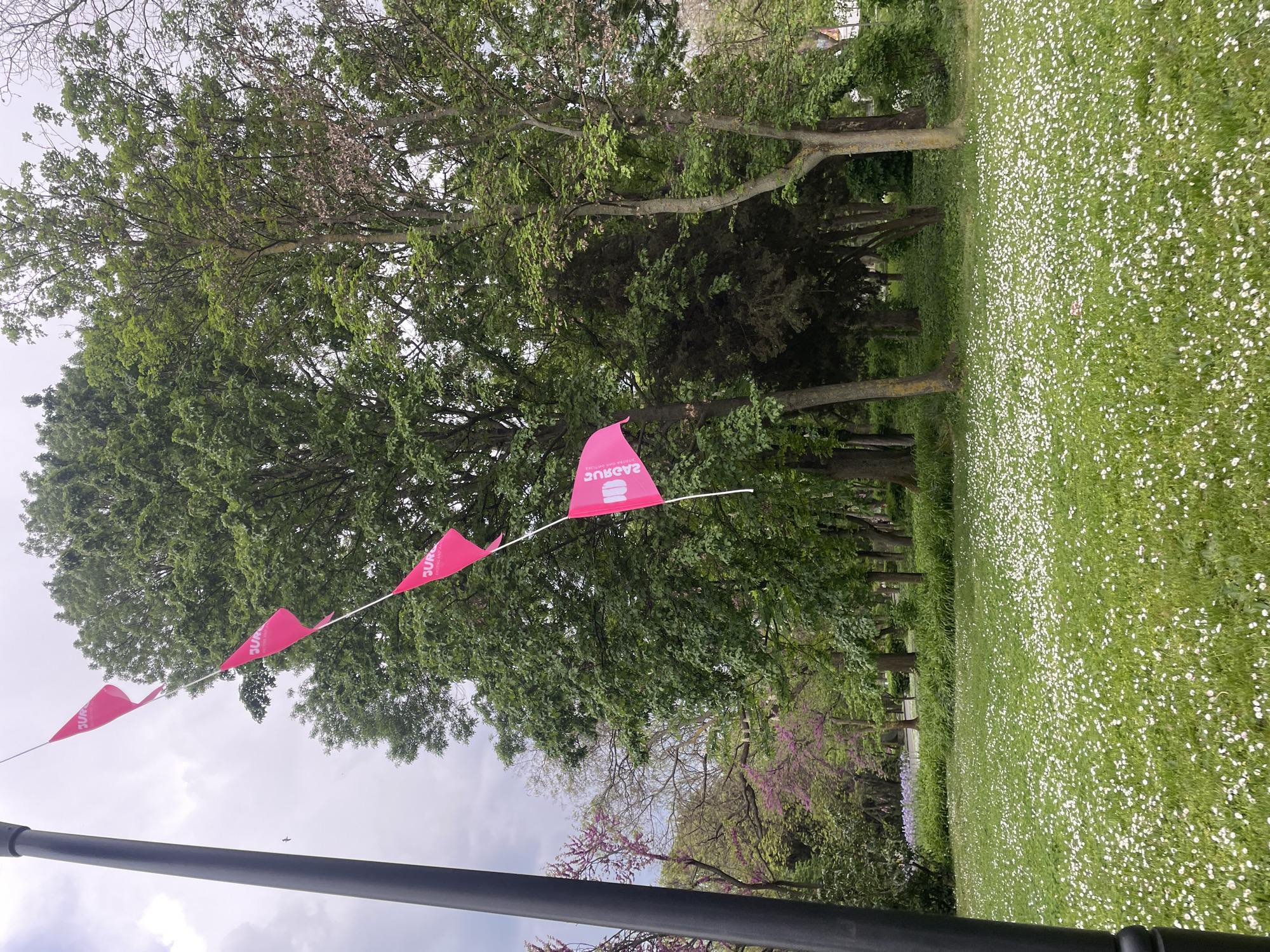 The image shows a park setting, likely in Burgas, Bulgaria, given the reversed Cyrillic text on the pink flags that appears to say "Burgas". The foreground features a black metal structure, possibly a fence or railing, partially obscuring the view. A string of pink triangular flags stretches across the mid-ground, with trees visible behind. The lawn is covered in small white flowers. The sky is overcast.