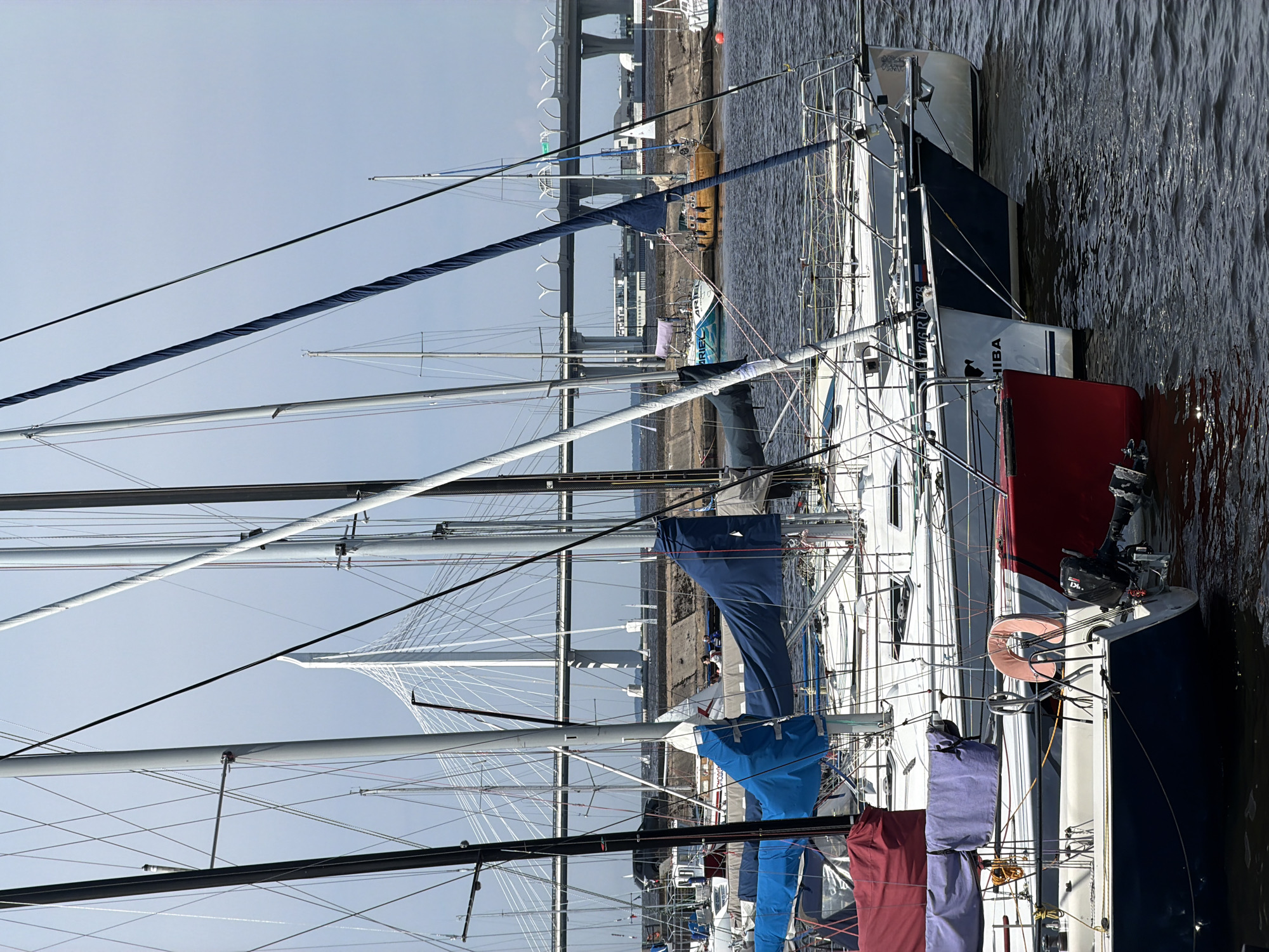The image captures a marina on a cloudy day, likely in Saint Petersburg, Russia, given the distinctive cable-stayed bridge in the background. The foreground is dominated by the masts and rigging of numerous sailboats docked in the water. Several of these sailboats are partially visible, showcasing their hulls, some with colored covers over their booms and sails. In the middle ground, a few sailboats are more clearly depicted, including one with a blue and white hull that has the word "ARIEL" visible on it. To its right is a wooden-hulled sailboat. Behind these, a large cable-stayed bridge spans the waterway, with its distinctive white towers and network of cables. The water is choppy, indicating a moderate breeze. A concrete embankment lines the shore behind the docked boats. The overall scene suggests a functioning marina with boats ready for or having completed sailing activities.