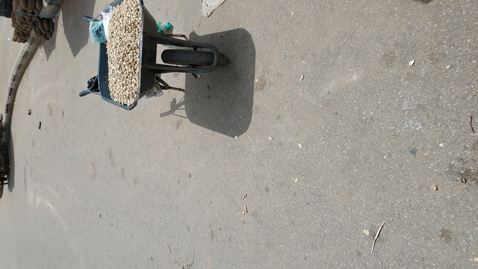 A wheelbarrow filled with groundnuts is positioned on an asphalt surface in the city of Jalingo, Nigeria. The wheelbarrow is dark in color and has a single wheel at the front. A black bag is visible inside the wheelbarrow behind the groundnuts, and some plastic packaging is also present. The groundnuts appear to be unshelled. The groundnut-filled wheelbarrow is casting a long shadow to its left. The asphalt surface is textured and shows some signs of wear, with small pebbles and debris scattered across it. To the right of the wheelbarrow, a stack of large, brown yams is visible along a curb. The overall environment suggests an outdoor market or roadside stall.