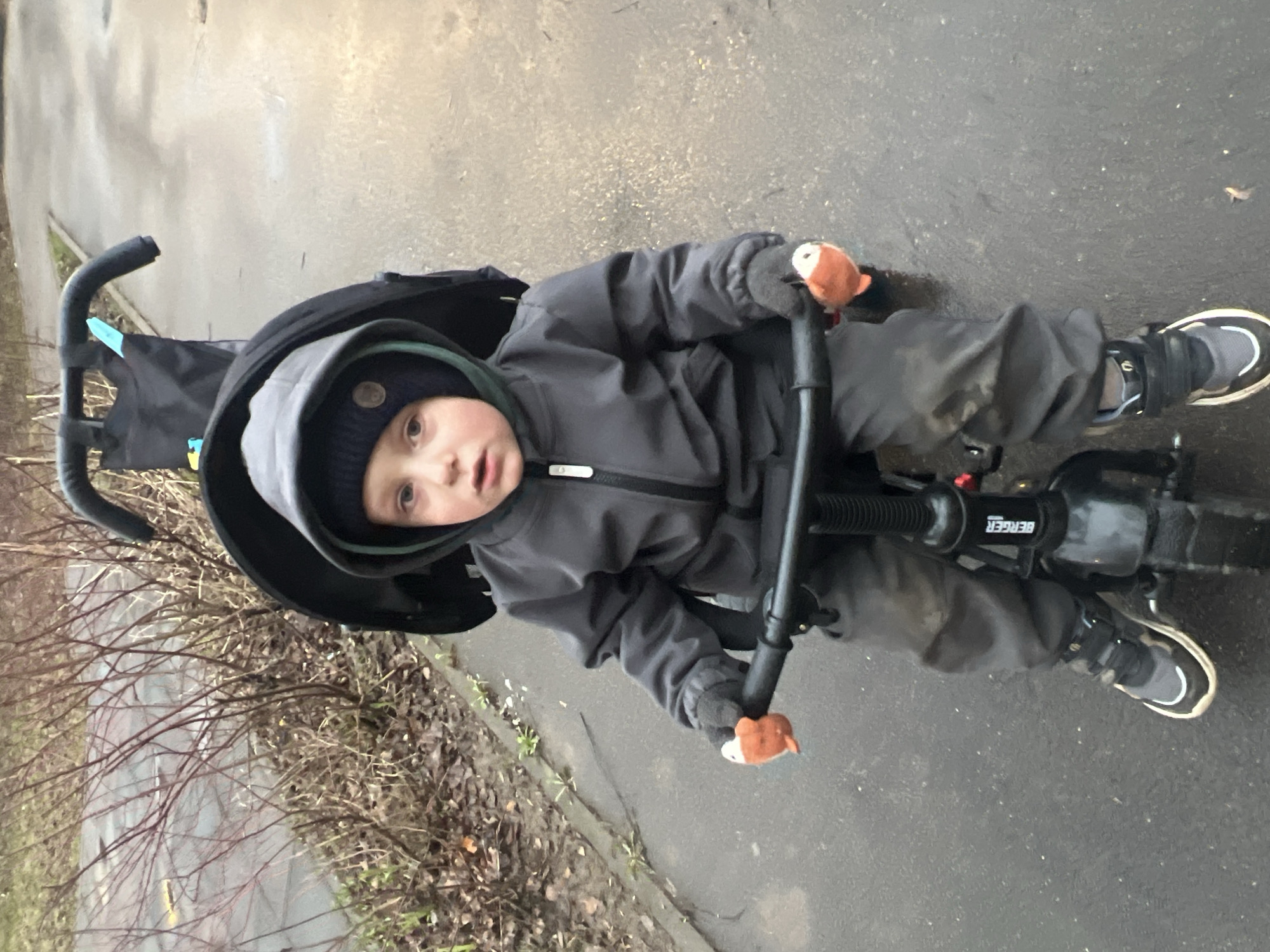 A young child is seated in a black tricycle-stroller. The child wears a grey jacket, grey pants, a dark blue beanie, and grey and white sneakers. The hands are gloved and holding the handlebars, which have small orange fox-like attachments. The stroller is on a gray paved surface, likely a sidewalk. To the left is a row of bare bushes along the edge of the pavement. The location is likely Mytishchi, Russia, but there are no specific architectural details or local signage to confirm.