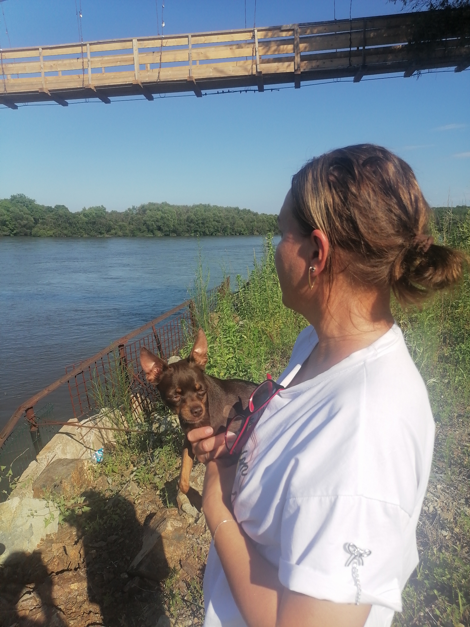 An outdoor, eye-level, medium shot shows a woman holding a small brown dog on the right side of the frame, facing away from the camera and looking towards a river. The woman has her hair pulled back in a bun and is wearing a white t-shirt. She is wearing a gold earring and a silver bracelet. The dog, a chihuahua, is looking towards the camera. The river occupies the left side of the frame, with a lush green forest on the far bank. A wooden suspension bridge is visible in the upper portion of the frame. The foreground consists of rocky terrain with sparse vegetation. The sky is clear and blue. The location is specified as Novopokrovka, Russia.