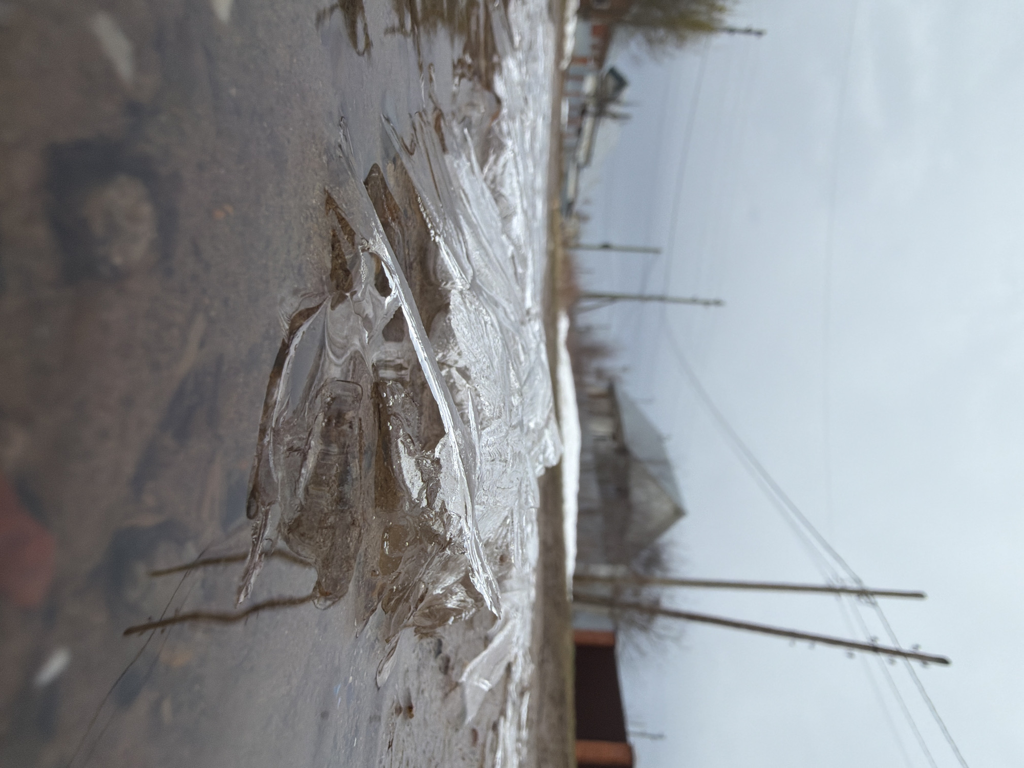 A ground-level, eye-level photograph shows a frozen puddle with intricate ice formations in the city of Chaikovsky, Russia. The ice is clear and reflects the ground beneath, with leaves and debris visible through the water. In the background, blurred buildings are visible along with telephone poles and overcast sky. The photograph is taken in a landscape format.