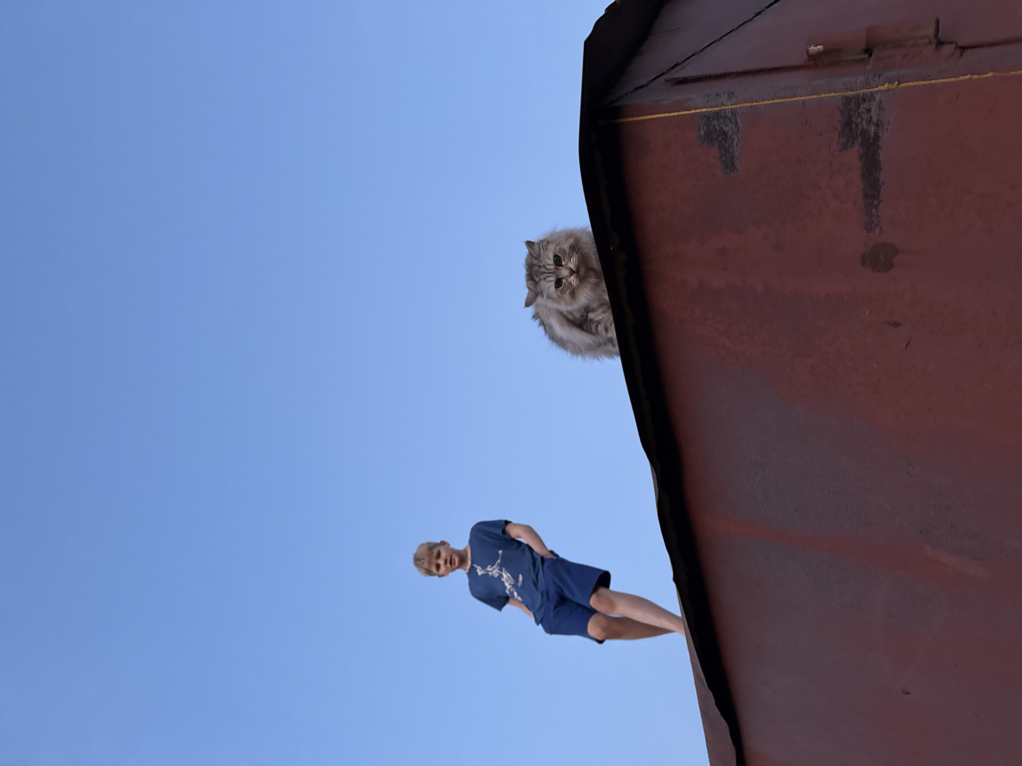 A low-angle shot shows a young person in blue clothes standing on the ground and a fluffy cat perched on the edge of a rusty, weathered structure, possibly a building or shed, against a clear blue sky. The location is potentially in Ферма, Russia.