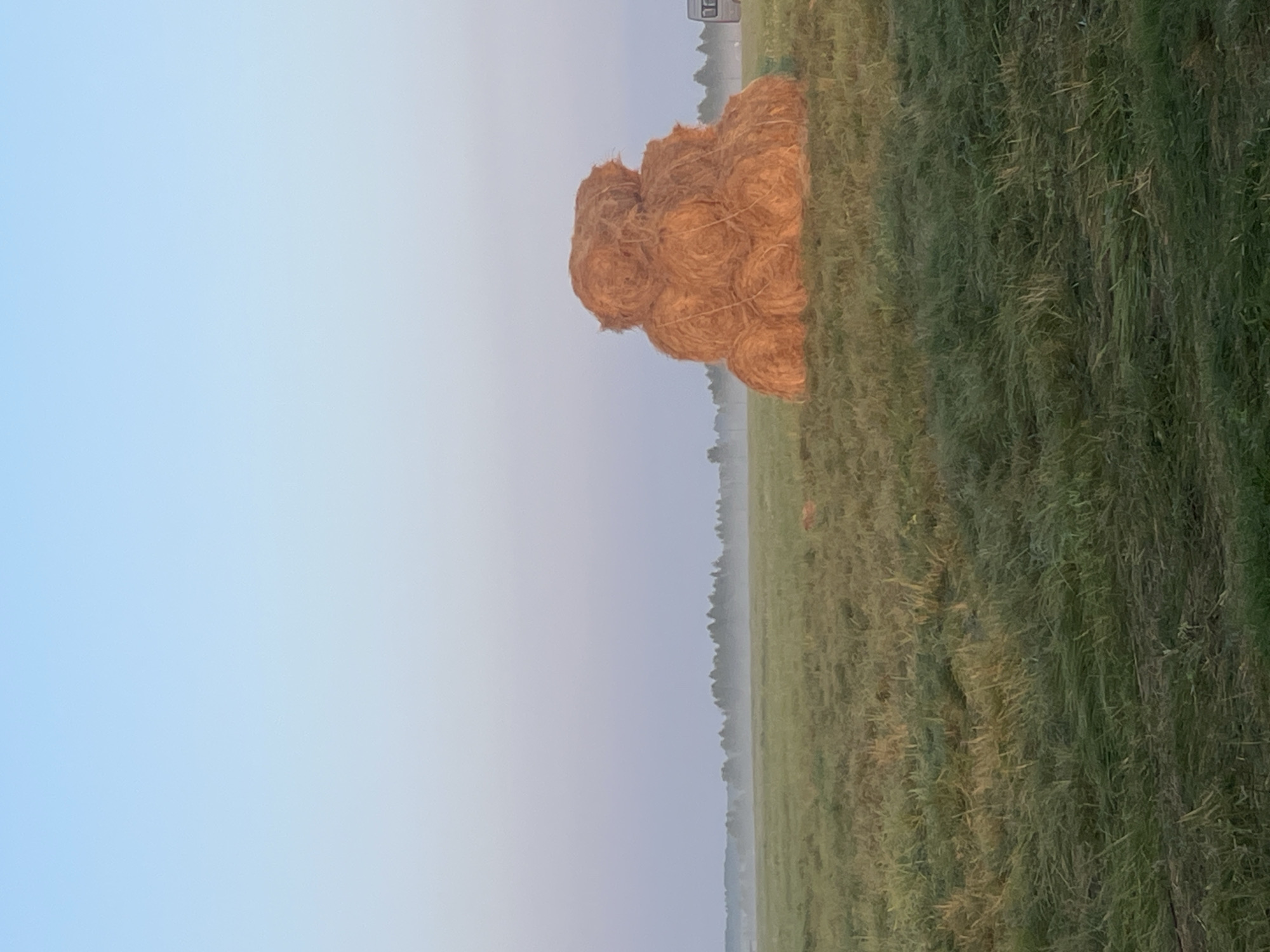 This is a vertical, eye-level, outdoor, full-shot photograph of a field with a haystack. The scene appears to be set in Surakovo, Russia, under a clear sky with a gradient of pale blue to lavender. In the foreground, a large, pyramid-shaped haystack, composed of several round bales of hay, stands in the center right of the frame. The hay is golden-brown and tied with visible twine. The field is covered in green grass, with some areas showing cut or flattened grass, particularly in the foreground. In the middle ground, a thin layer of mist hovers over the field, obscuring the distant tree line which consists of a dense arrangement of green trees. To the far right of the haystack, a portion of a white vehicle with a rectangular window is visible. There are no people present in the image.