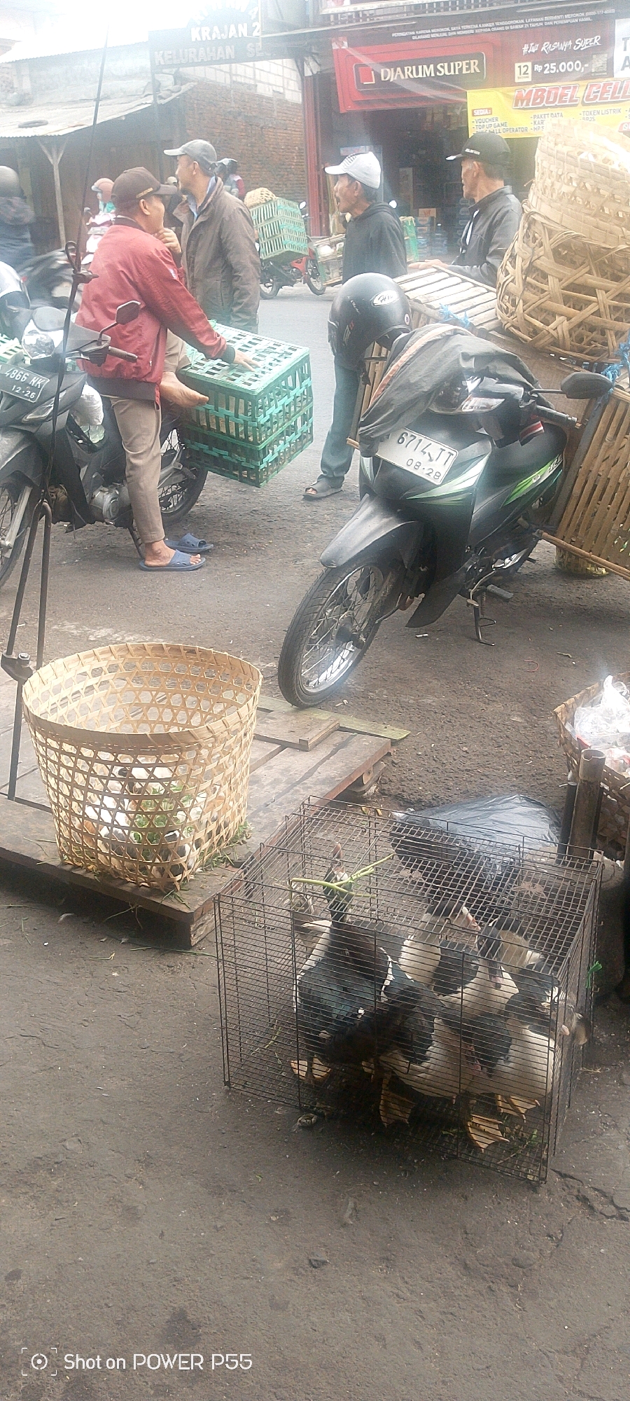 An outdoor market scene is depicted in this vertical, medium shot image. In the foreground, a large, woven bamboo basket rests on wooden planks, containing what appear to be small animals, possibly rabbits, amidst greenery. To the right, a wire cage holds several ducks, some with dark and white plumage, pecking at green vegetation. A black plastic garbage bag is visible behind the cage. In the mid-ground, two motorcycles are parked, one on the left is black and silver, and the other on the right is black with green accents. A person in a red jacket is holding a stack of two green plastic crates, and another person in a brown jacket and a cap is standing nearby. A third person in a black hoodie and a white cap is also present. In the background, several other individuals are seen, and there are signs with text including "KRAJAN 2 KELURAHAN SE", and "DJARUM SUPER". The ground is paved asphalt. The lighting suggests an overcast day.