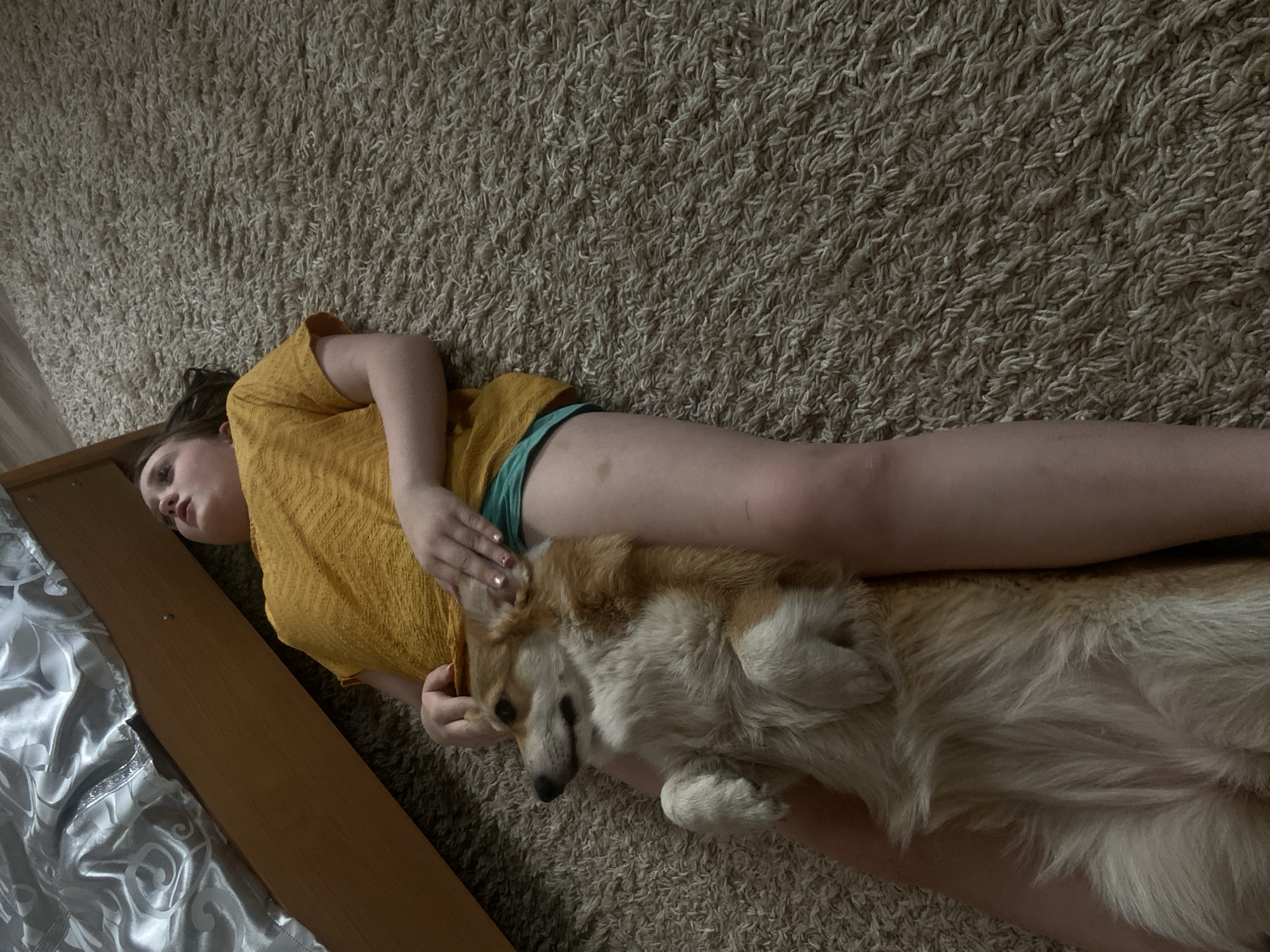 A young girl is lying on a carpet in an indoor location. Her head rests near a bed frame with a partially visible, white, crinkled bed sheet. She is wearing a mustard-yellow top and a visible teal undergarment. She has her legs extended, and a dog is lying on her legs. The dog is light brown and white and appears to be a Corgi. The girl has her hand resting on the dog's head. The carpet is light brown. No further details can be determined to confirm location in Chaikovsky, Russia.