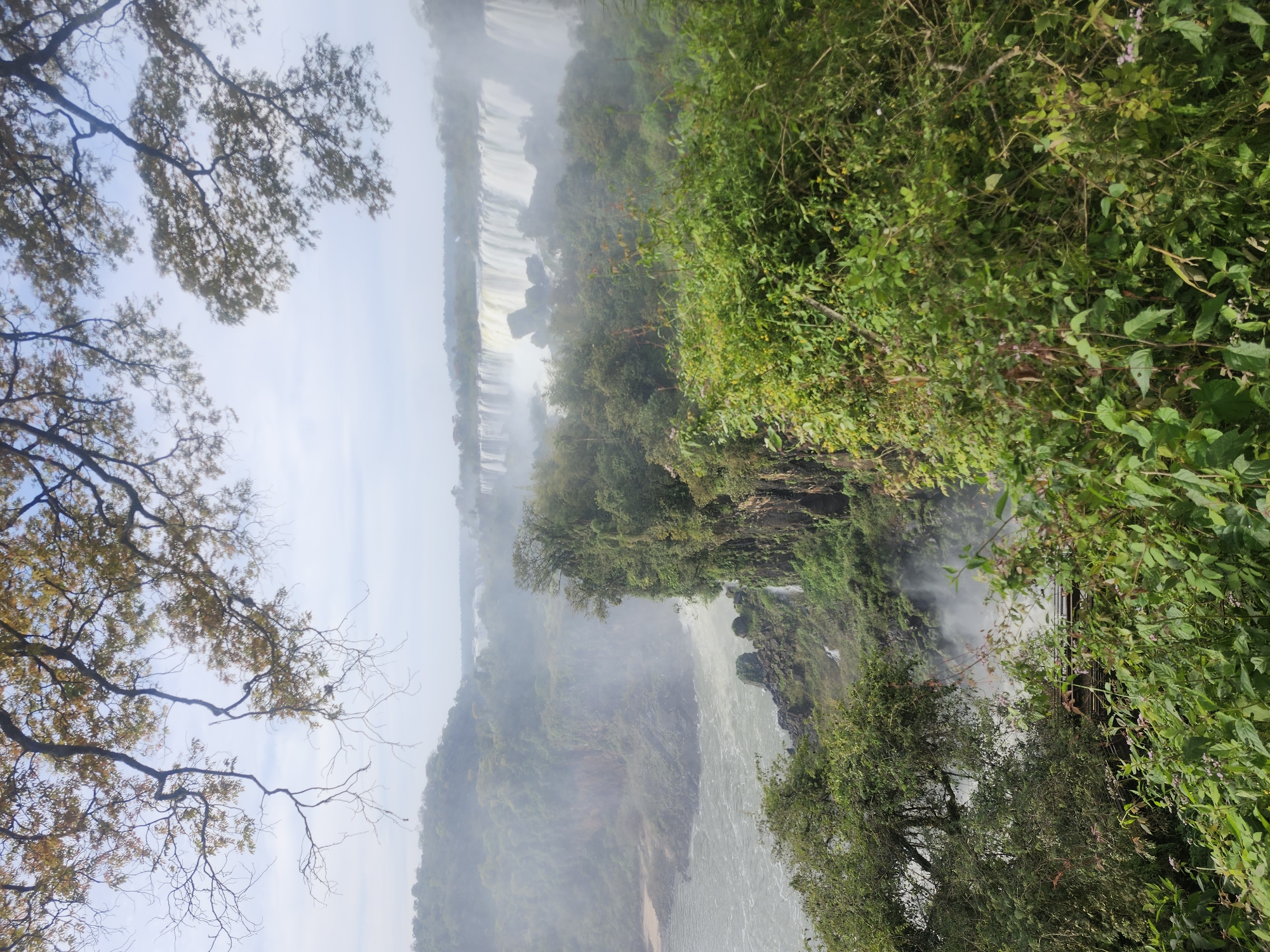 The image depicts a panoramic view of Iguazu Falls, a natural wonder situated in Iguazu National Park, near the city of Puerto Iguazú, Argentina. In the foreground, lush green foliage and trees frame the scene, with some branches and leaves visible in the upper portion of the image, suggesting a viewpoint from a higher elevation or a natural overlook.
The main focus of the image is the series of majestic waterfalls cascading down a wide, rocky escarpment. The falls are a prominent white against the green landscape and misty air, indicative of the immense power and volume of water. The Iguazu River flows through the scene, with its turbulent, greenish-brown water creating white foam as it encounters rocks and rapids.
The surrounding environment is characterized by dense, verdant jungle, with various shades of green dominating the landscape. Cliffs and rock formations are visible where the waterfalls originate and descend. In the distance, more of the falls can be seen stretching across the horizon, partially obscured by mist. The sky above is overcast and hazy, contributing to the overall atmospheric quality of the scene. No people are visible in the image. The scene is natural and undeveloped, with the emphasis on the grandeur of the waterfalls and the surrounding ecosystem.
