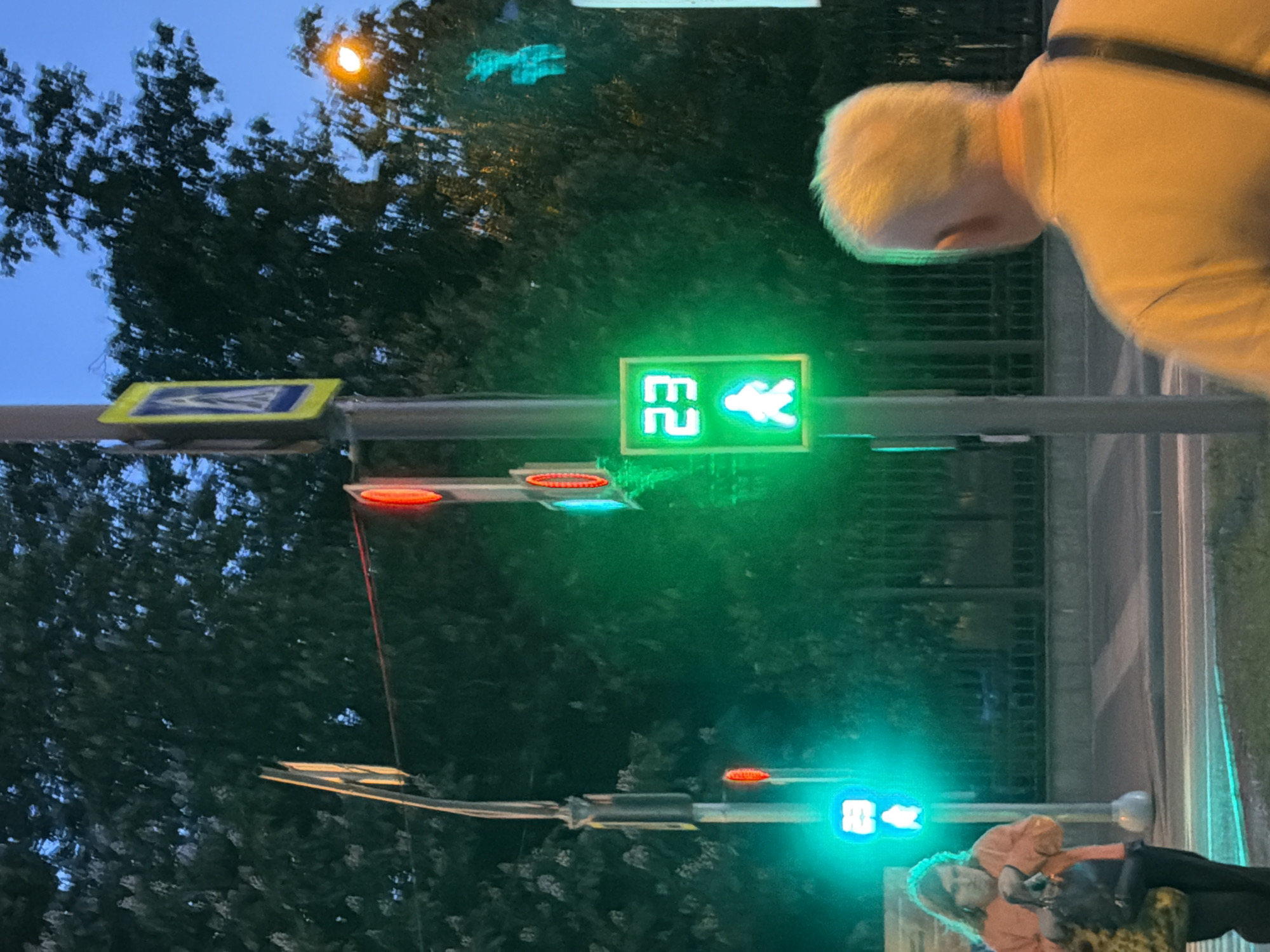 Here is a detailed description of the image:
**General Overview:** The image appears to be taken at dusk or twilight, possibly in an urban environment. The orientation of the image is sideways, showing a street scene with traffic lights, pedestrians, and foliage.
**People:** The image captures a few individuals:
* One person with blonde hair and wearing a light-colored shirt is seen bending over towards the right side of the frame.
* Another person, possibly female, in an orange shirt with blonde hair can be seen to the right of the frame. They appear to be holding a phone.
**Objects:**
* Traffic lights: There are multiple traffic lights visible, including pedestrian crossing lights. One shows a countdown timer with "23" displayed and a green walking figure, indicating it is safe to cross. Other lights are visible with red indicators, implying traffic control.
* Street signs: There are signs indicating directions or pedestrian crossings.
* Trees: Foliage is visible.
**Environment:**
* Urban: The presence of traffic lights and pedestrians suggests an urban area.
* Time of day: The lighting indicates dusk or night.
* Location: The image shows pedestrian crossing signals and road signs typical of Russia. It seems possible that this image was taken in Moscow, Russia due to the Russian standard crossing signals.
**Summary:**
The image presents a street scene at twilight in a Russia urban environment, possibly Moscow, with traffic lights, pedestrians, and street furniture. A person can be seen bending over next to the crosswalk.