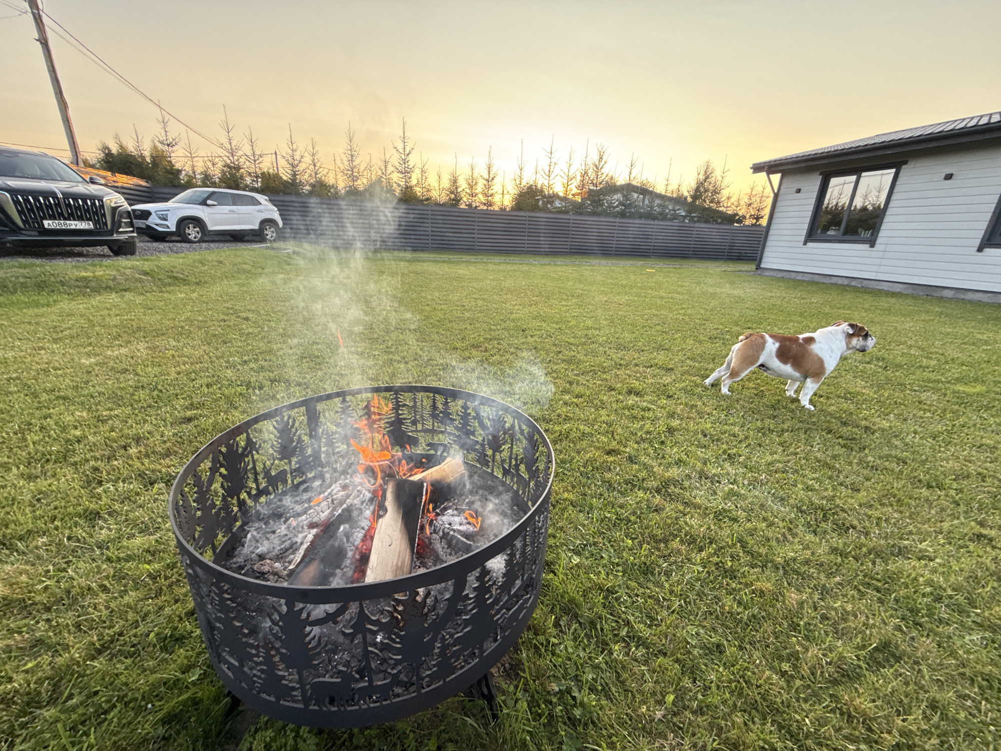 In Kolyasovo, Russia, at dusk, a grassy yard features a black SUV parked on the left, with a white SUV parked behind it. A bonfire burns in a decorative metal fire pit in the foreground. A brown and white bulldog stands on the right side of the yard, near a modern, light-colored house with dark-trimmed windows. The setting sun casts a warm glow across the sky, visible behind a dark fence and scattered trees.
