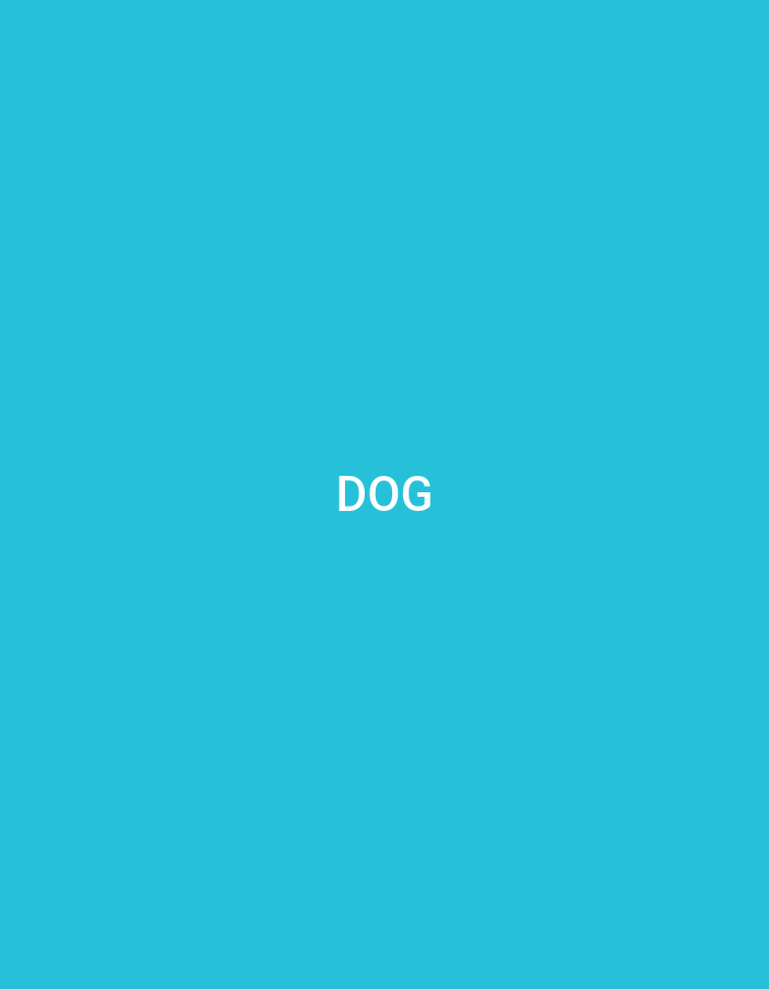 The image is a solid teal background with the word "DOG" written in white text in the center. The word is capitalized and uses a sans-serif font. There is no additional information or context provided within the image to associate it with Küçükçekmece, Turkey or any specific scene.
