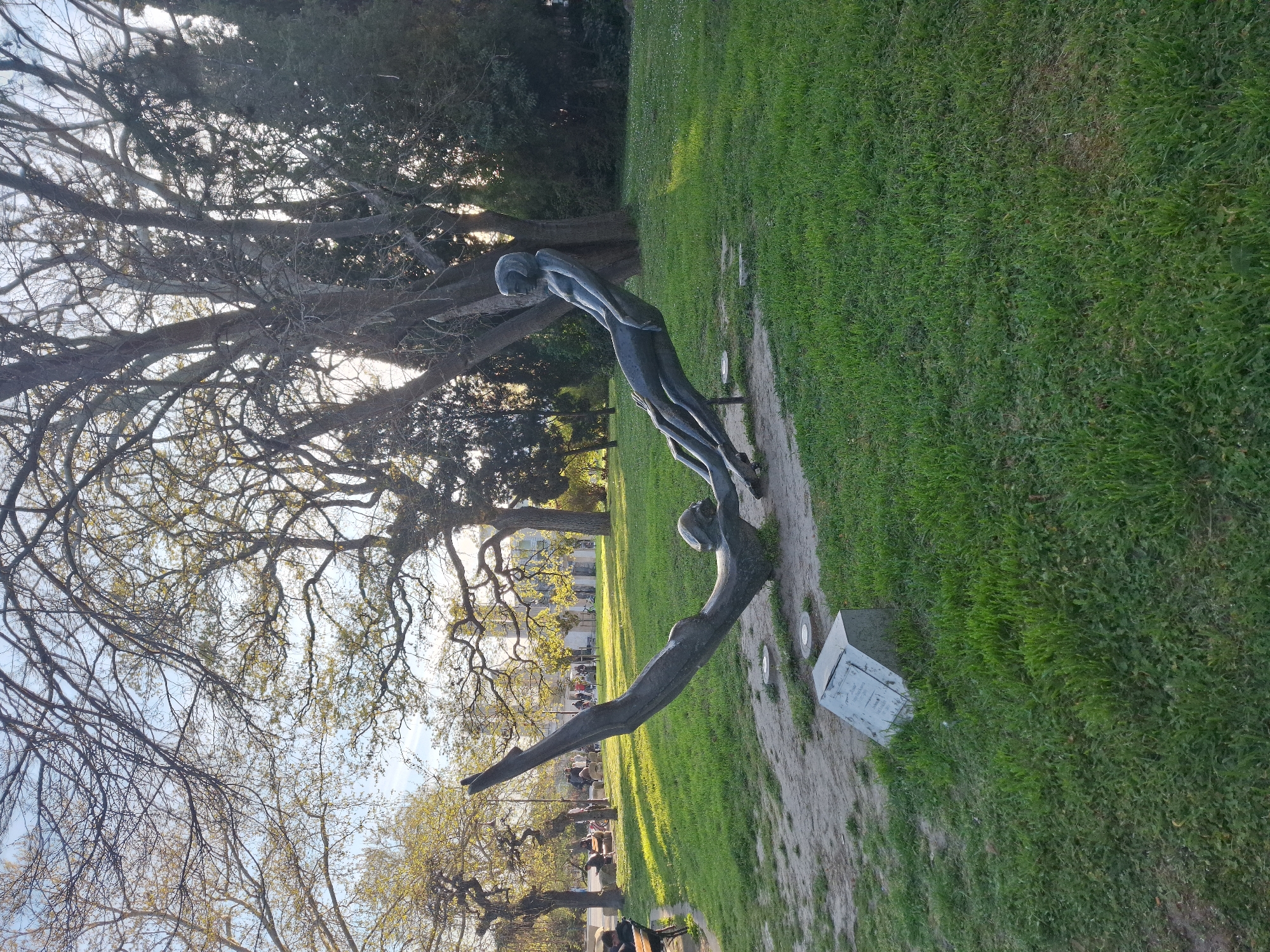 The image displays an outdoor park scene, likely in Varna, Bulgaria, characterized by a bright, sunny day, possibly late afternoon due to the soft, warm light and elongated shadows.
The primary subject is a dark-toned sculpture centrally positioned on a grassy area, alongside a dirt path. The sculpture depicts an elongated human figure, appearing dynamic and fluid, as if in a state of leaping or diving. This figure is organically integrated with a dark, branch-like form that extends along the ground, serving as its base. Next to the base, there is a rectangular pedestal or plaque, also dark-colored, with some faint, unreadable white text on its surface. Two small, circular ground lights are visible near the sculpture's foundation.
The setting is a verdant park with extensive green grass. Numerous trees dominate the background and mid-ground; some are densely covered with leaves, while others feature intricate networks of bare branches against a clear sky, hinting at a transitional season like late winter or early spring. In the background, several individuals are seen casually seated on park benches or strolling, suggesting a leisurely atmosphere. Faint architectural elements are discernible through the trees in the distance.
The overall impression is one of tranquility and public enjoyment of an urban green space. No specific activity or event beyond everyday park use is evident. The visible text on the plaque is not decipherable.